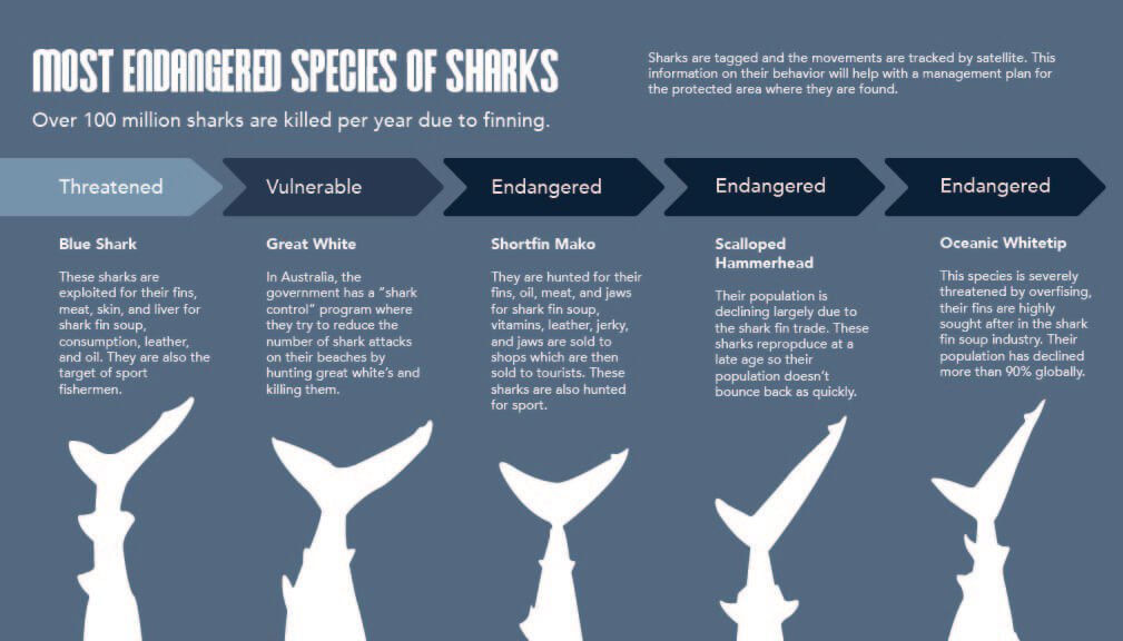 INFOGRAPHIC