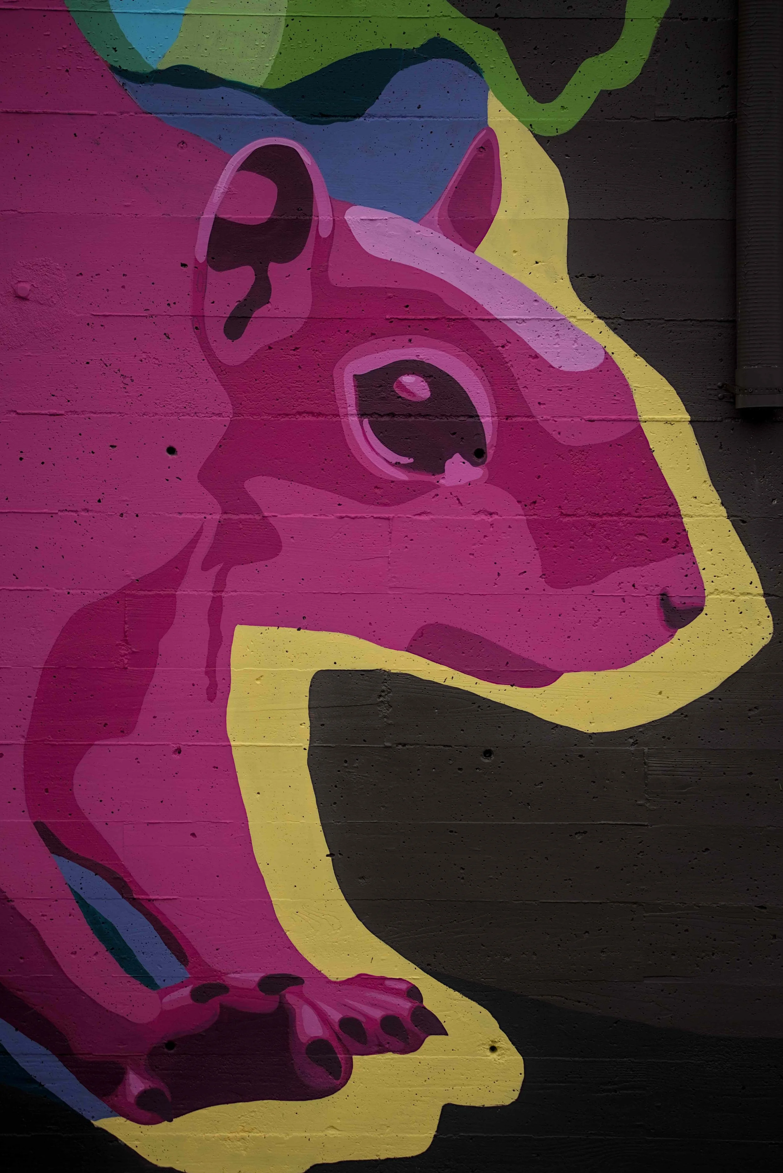 2025XX - Acorn Murals (33).jpg