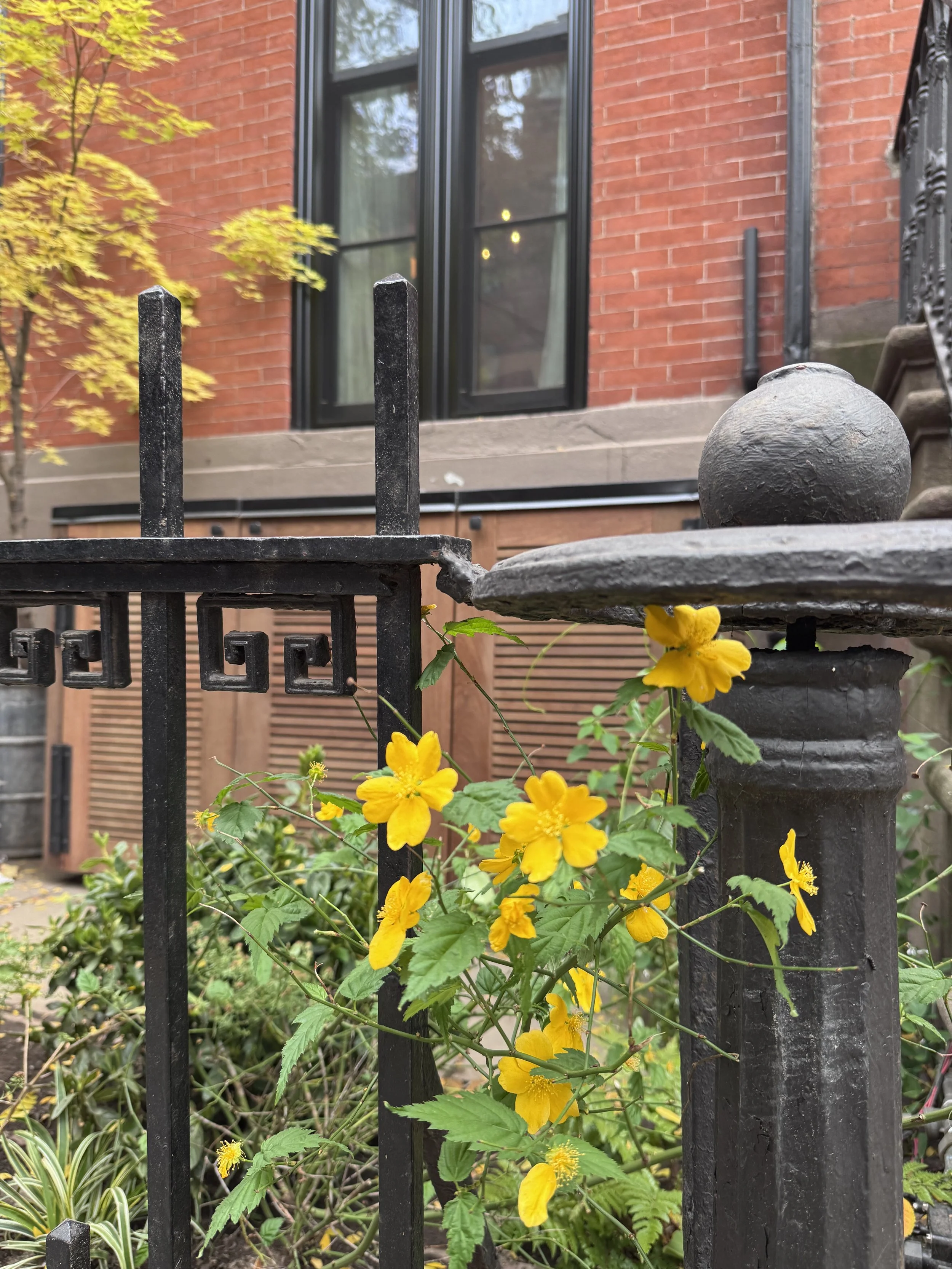 Brooklyn Heights, Phase 2