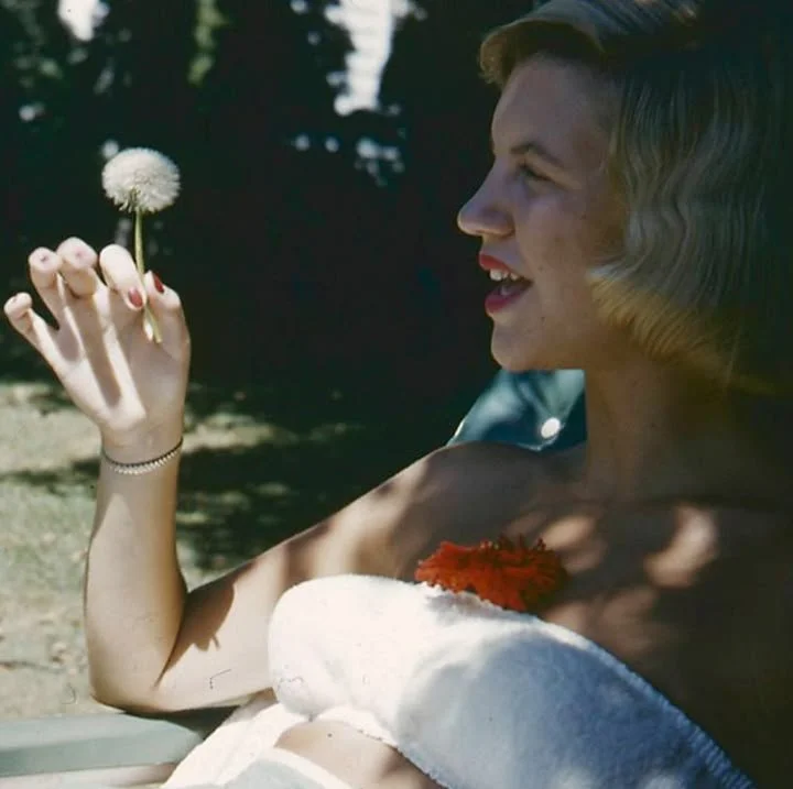 Sylvia Plath: il prezzo di non essere addomesticabile