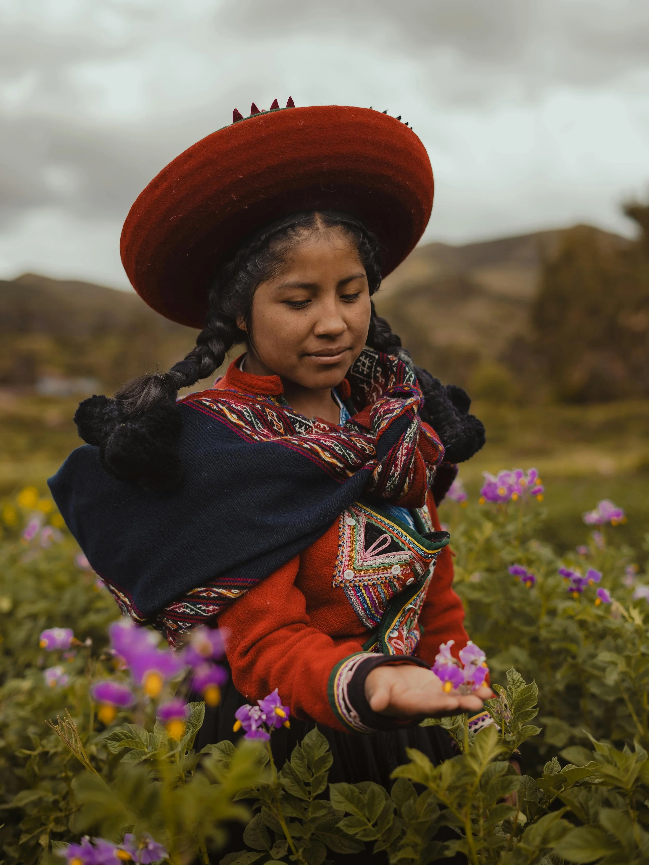 pexels-antropologo-en-ruta-653369454-19767244.jpg