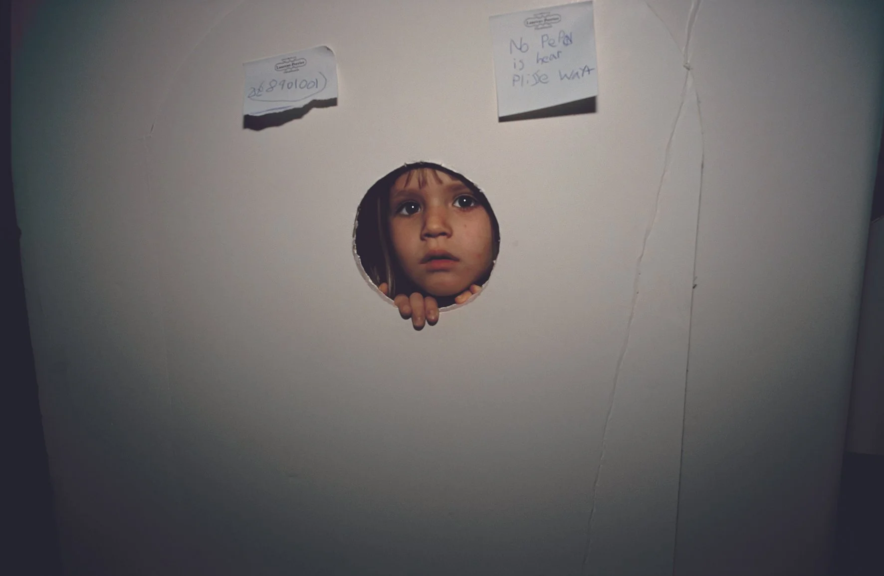 FL_Nikki in a box.jpg