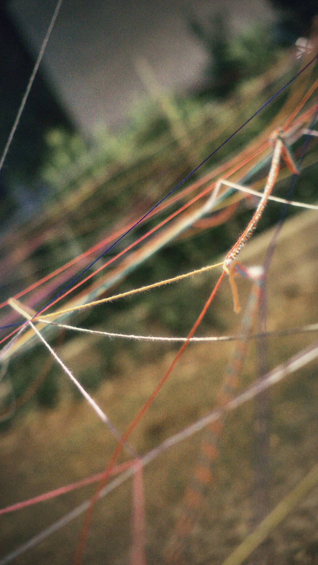 fumi fornace foto(6).png