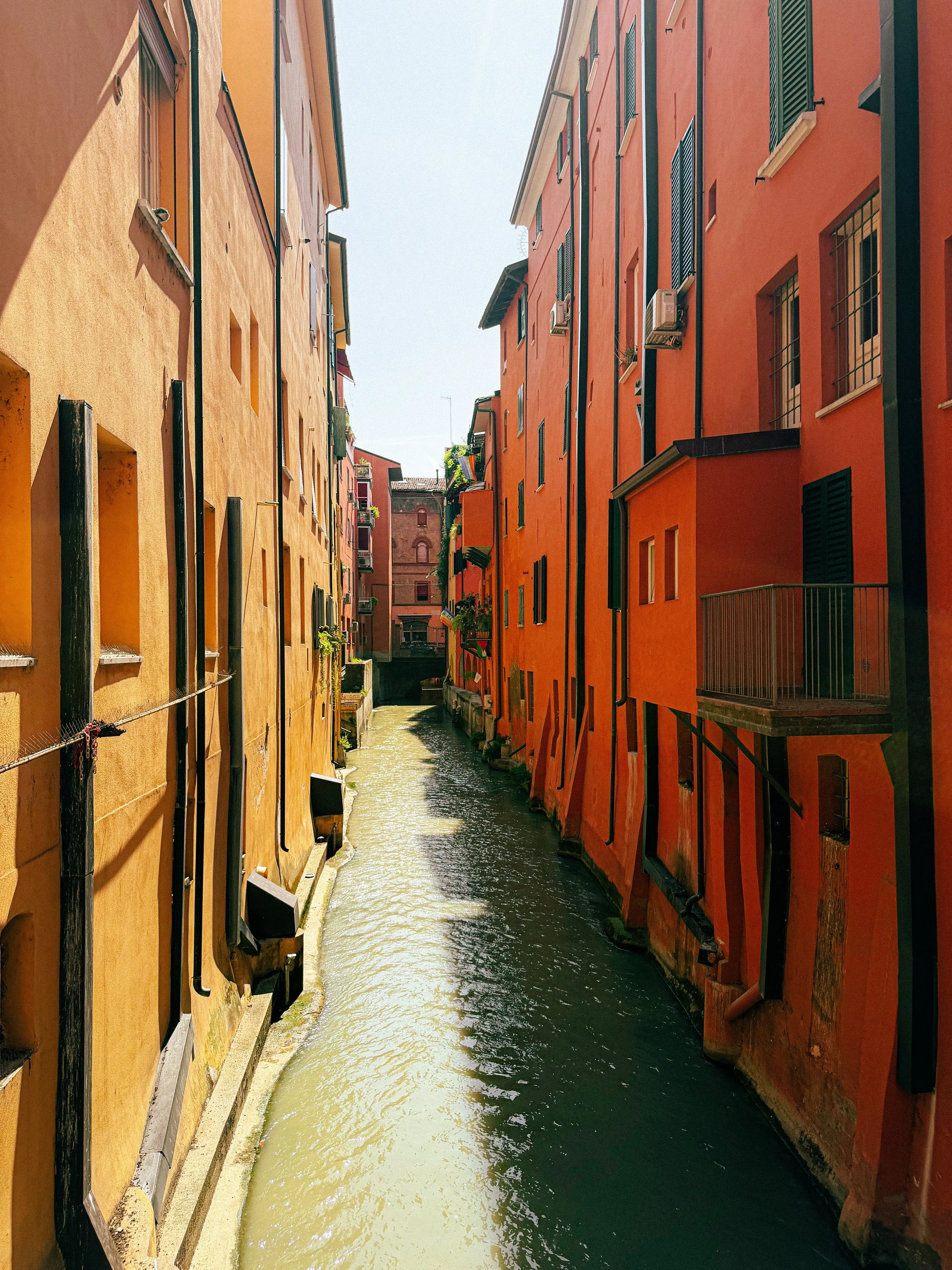 pexels-francesco-querente-2160182055-38597320.jpg