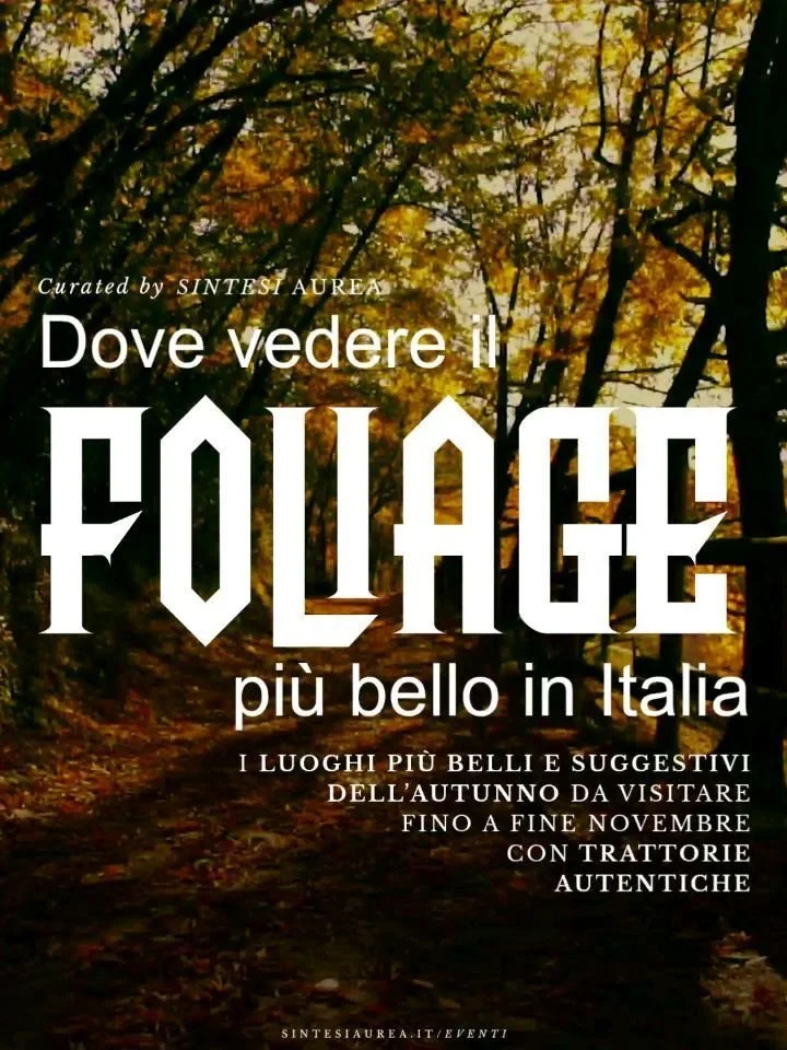 Dove vedere il foliage in Italia nel 2026? 🍁 Dalle Alpi al Sud, l'autunno trasforma i boschi italiani in tavolozze d'oro e di rosso. Questi sono i luoghi pi&ugrave; belli per i colori autunnali, secondo noi, da Nord a Sud, da fine settembre a novemb