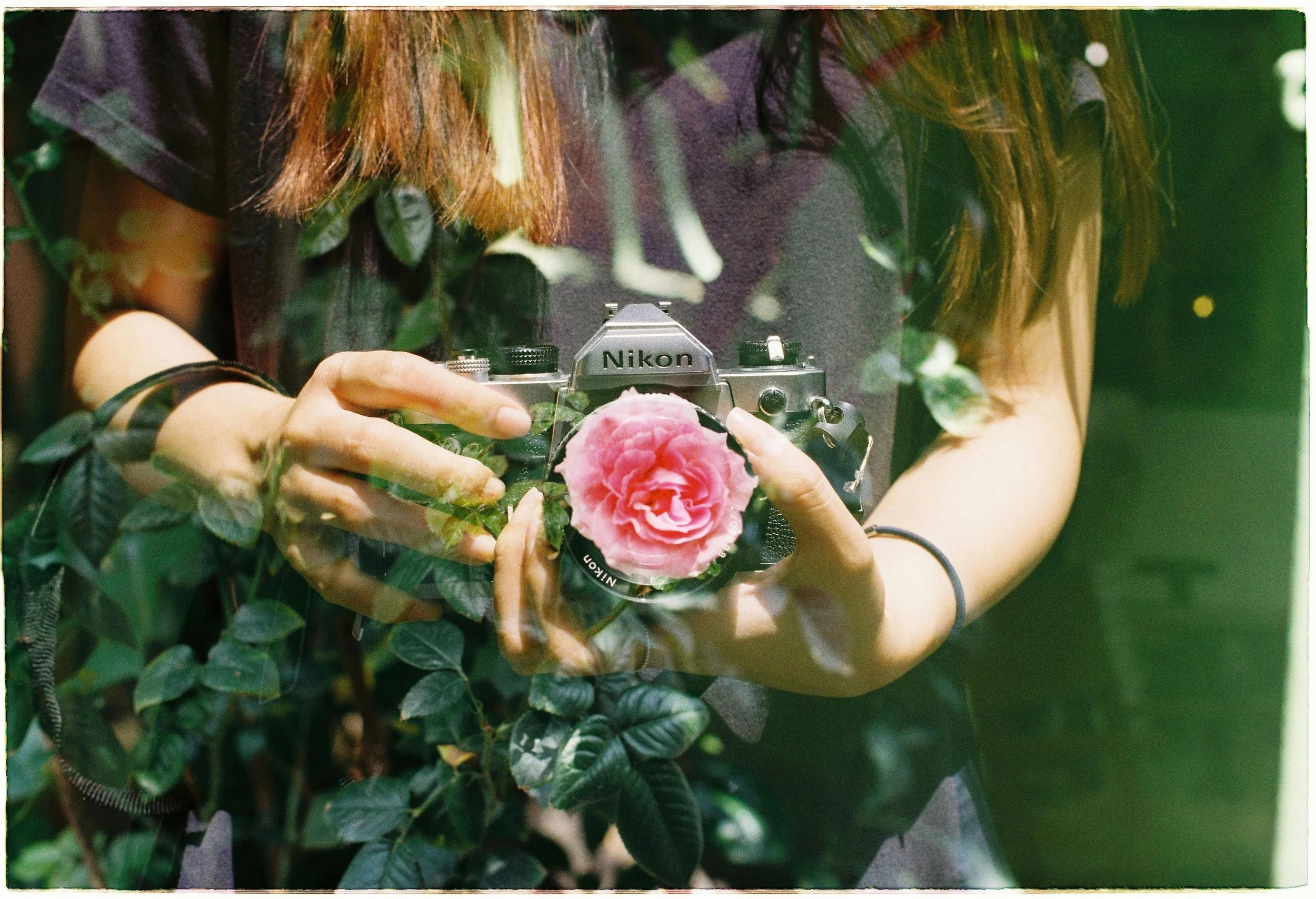 Una persona sta prendendo una fotografia riflessa su una superficie trasparente di un fiore rosa con una fotocamera Nikon. La persona indossa un abbigliamento scuro e ha i capelli castani.