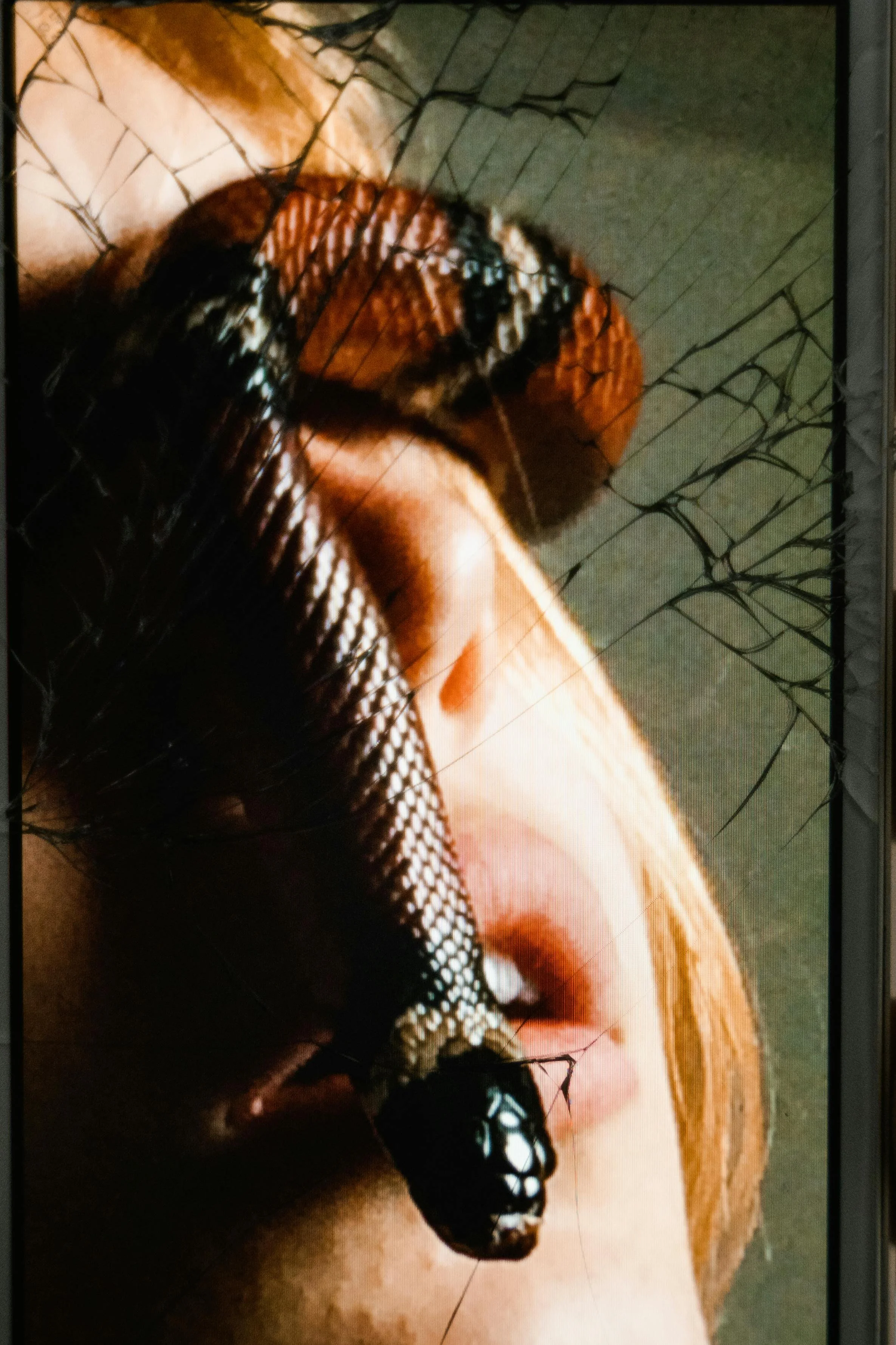 La Via Serpentina di Carl Jung ✷ Luna Nuova in Capricorno ♑︎ Gennaio 2026