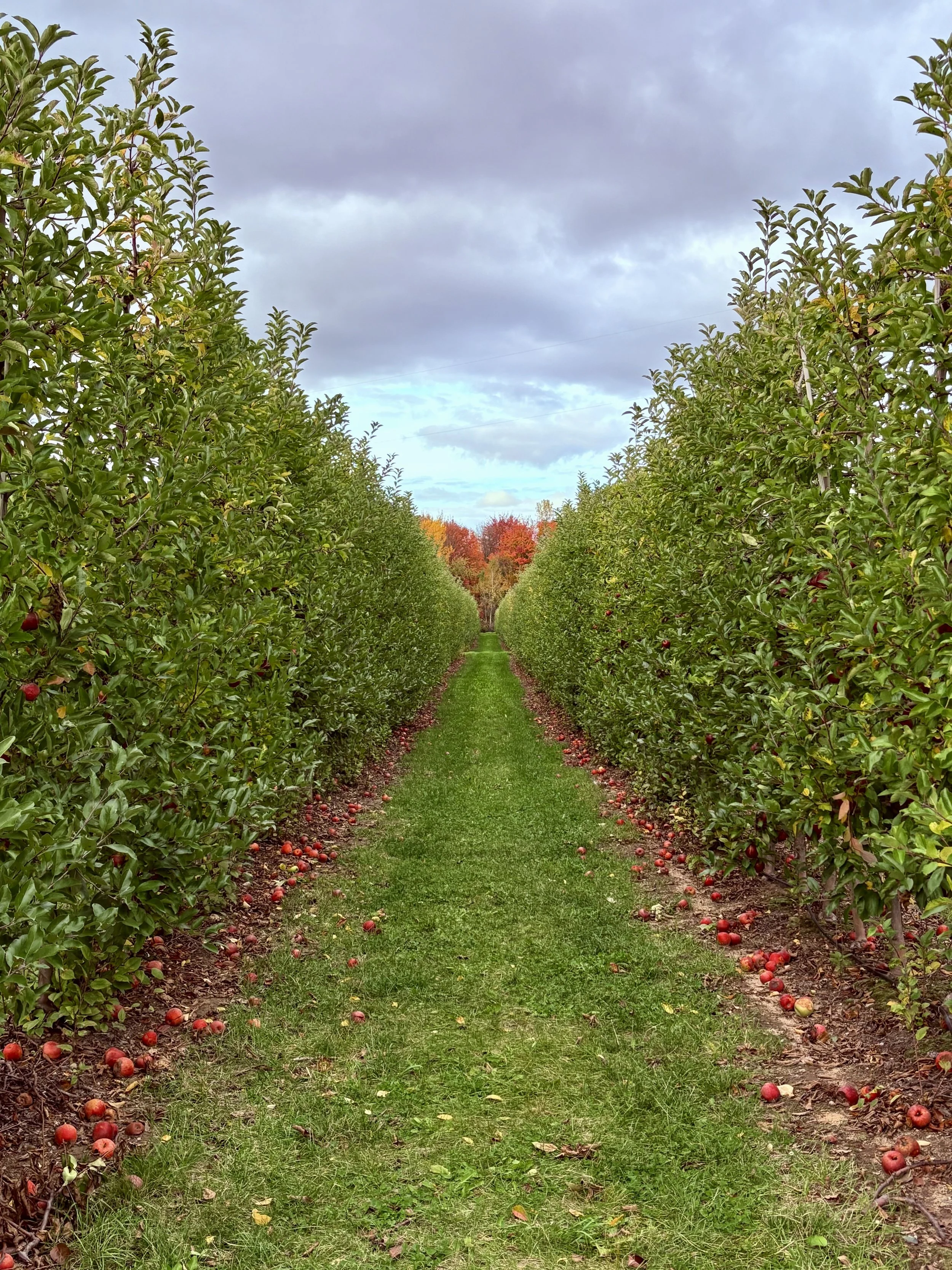 Workshop: Compassion Practice