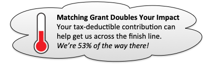 link for matching grant contributing