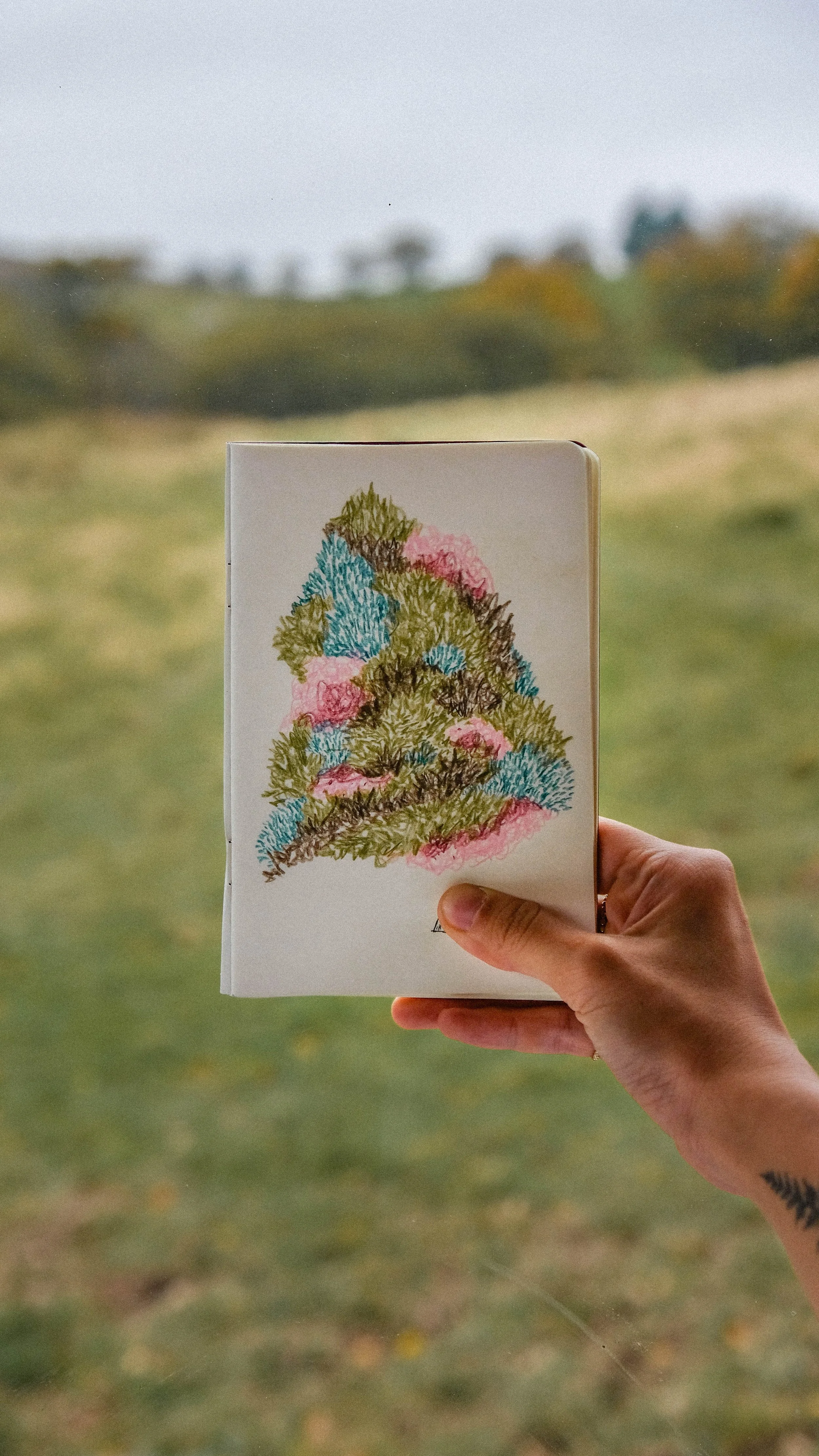 Hand holding a sketchbook with a colorful abstract drawing of a tree against a blurred outdoor landscape.
