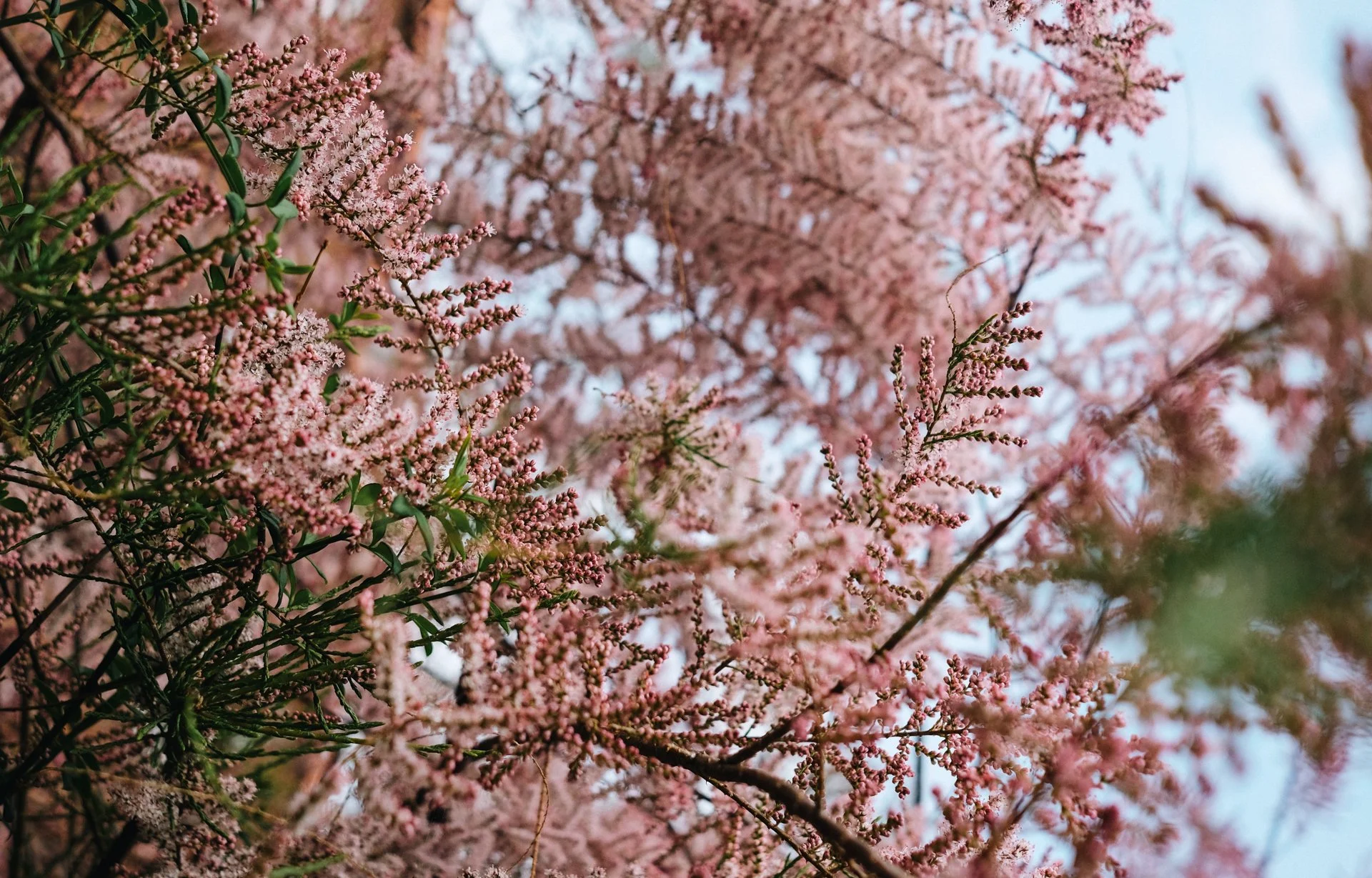 Spring Clean for the Body &amp; Mind (online)