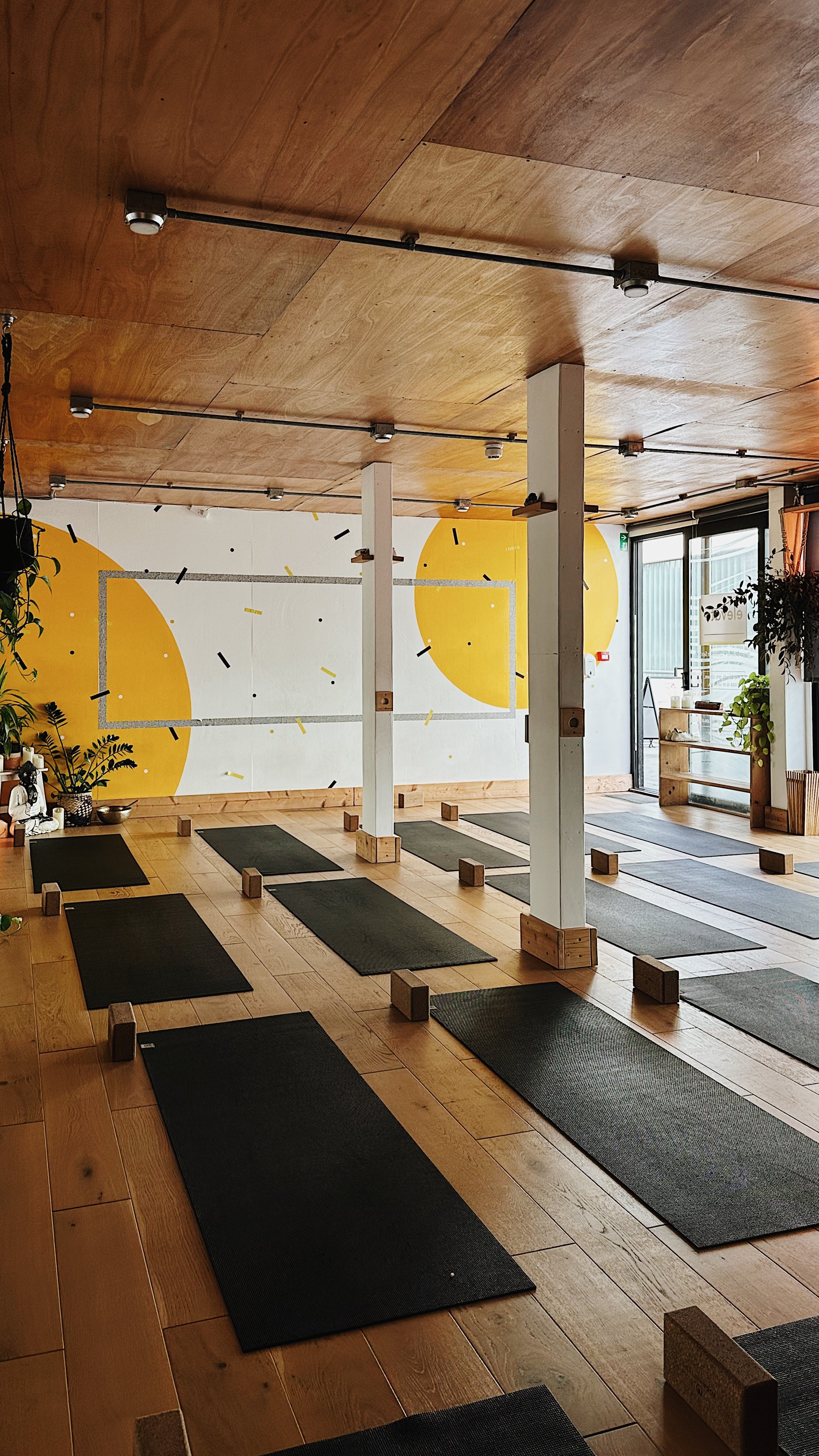 A yoga studio with wooden floors, black yoga mats arranged in rows, and white columns. The walls have yellow circular designs and plants are placed around the room.