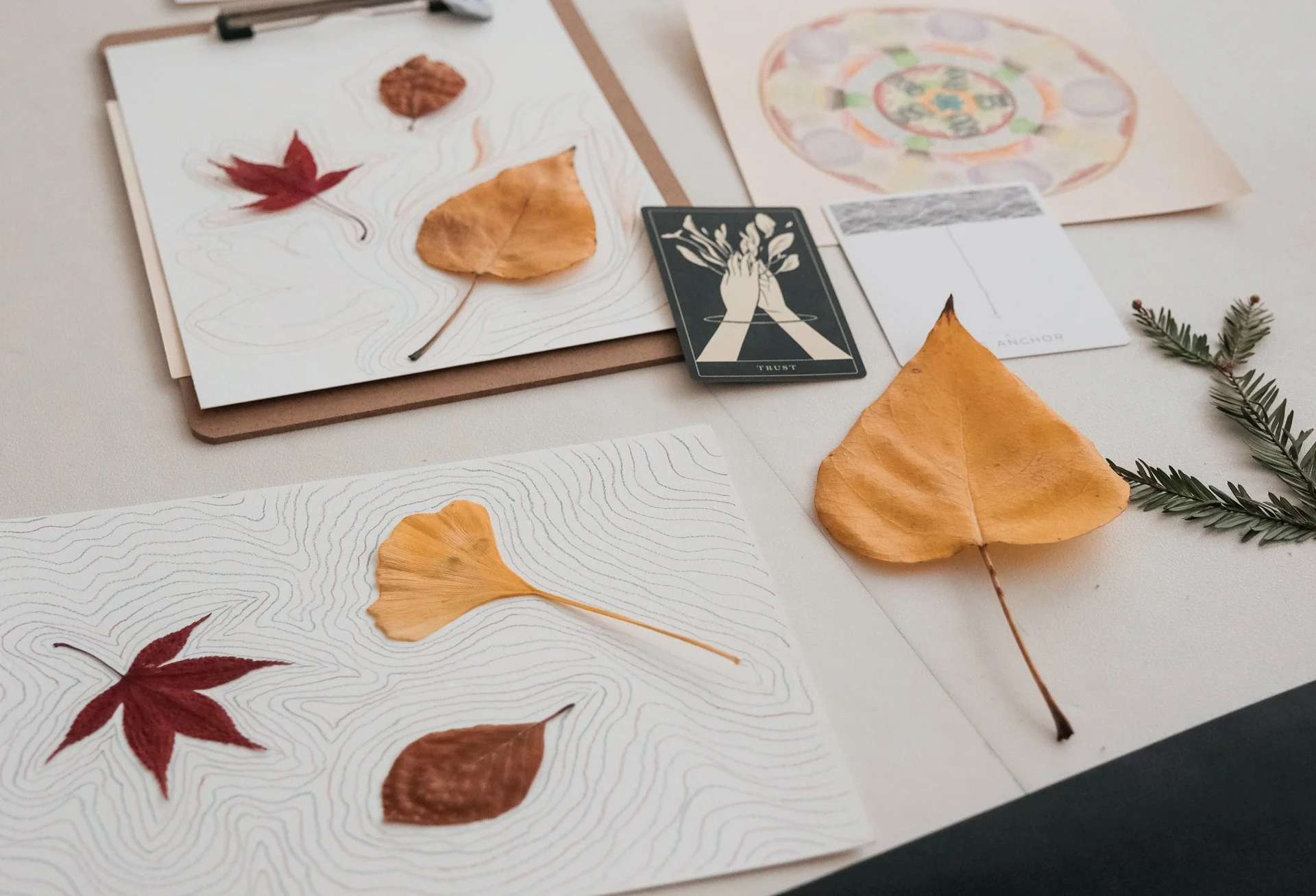 Flat lay of autumn-themed objects including pressed leaves, a card with hands holding flowers labeled 'Trust', a colorful circular design, and a sprig of pine on white paper and a clipboard.