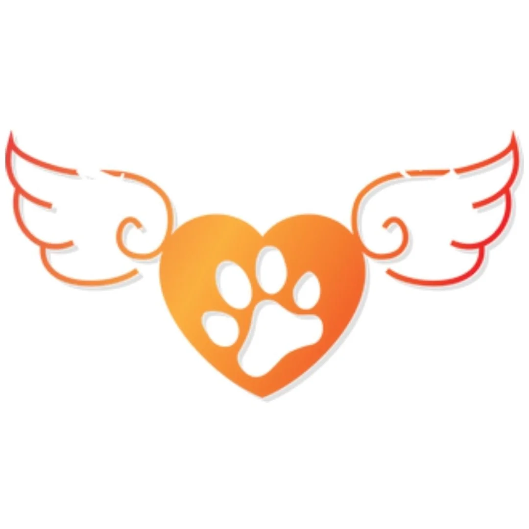 Mary's Angels Dog Training