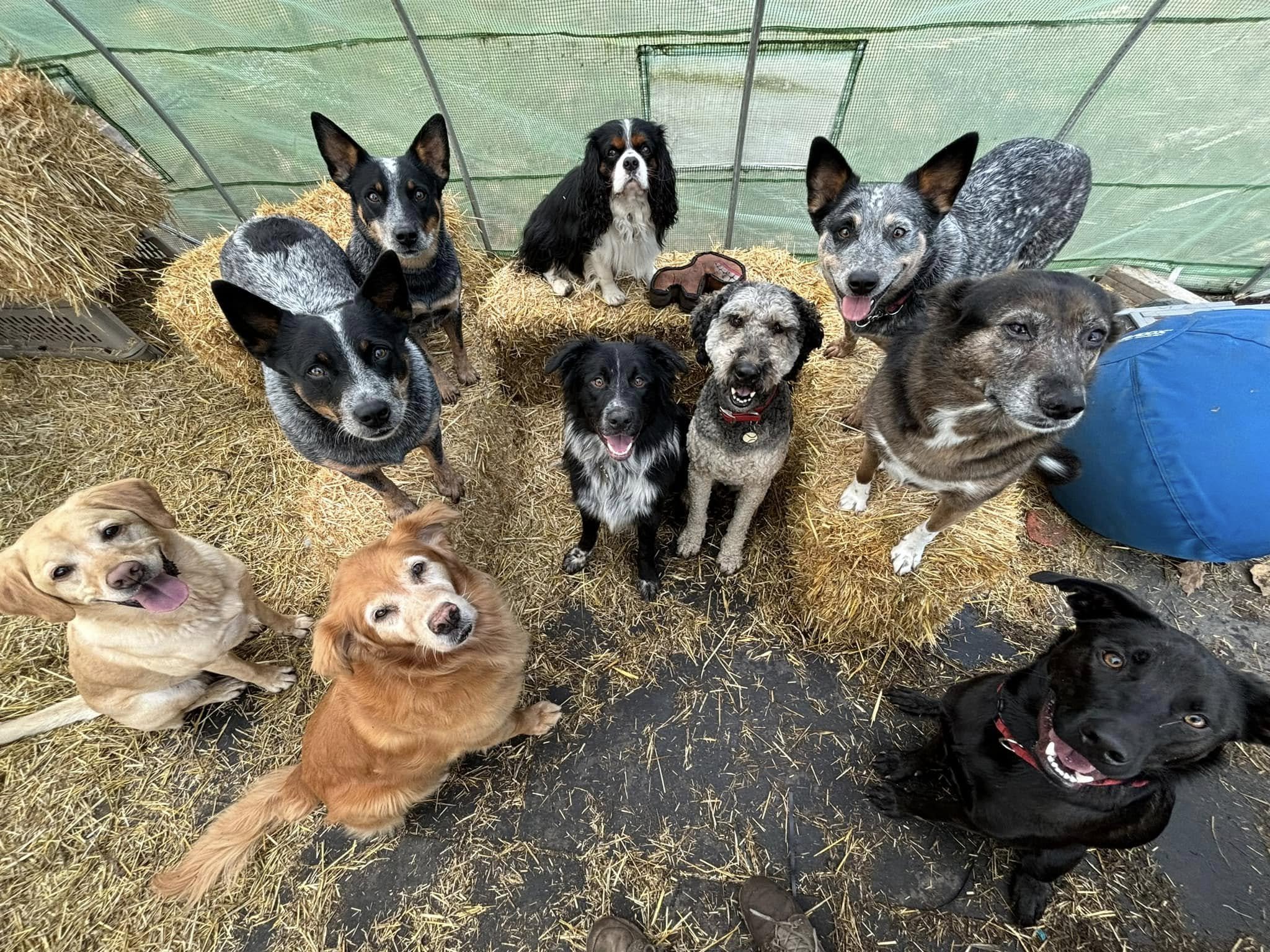 DAYCARE.jpg