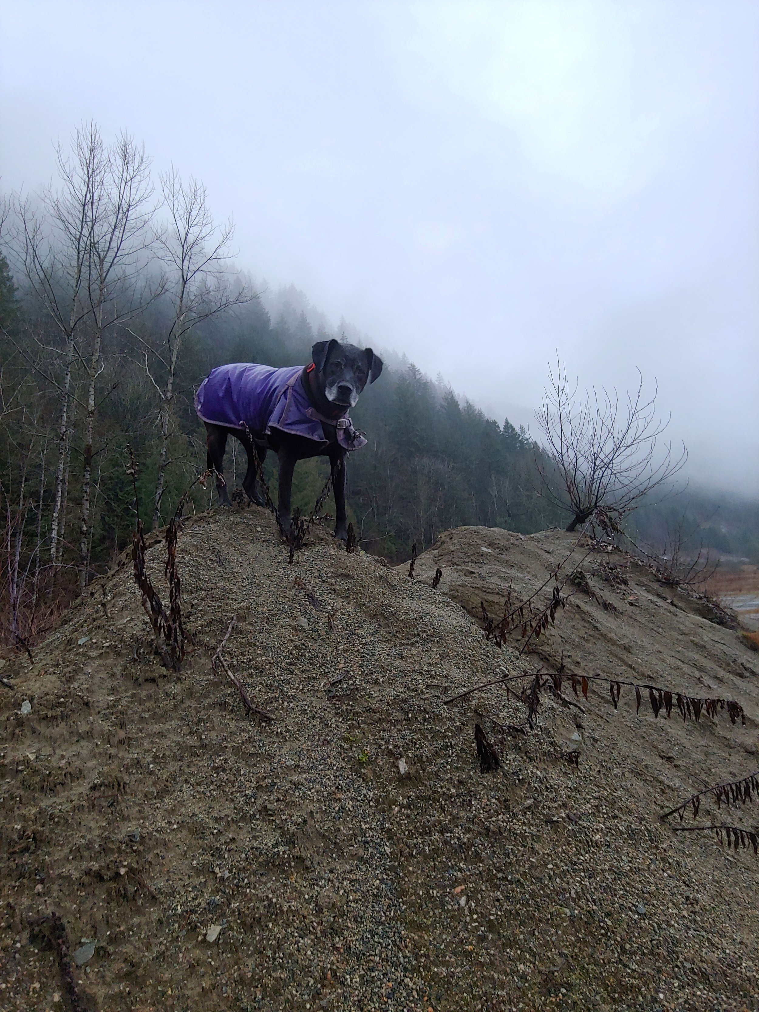 20191220_100631_HDR.jpg