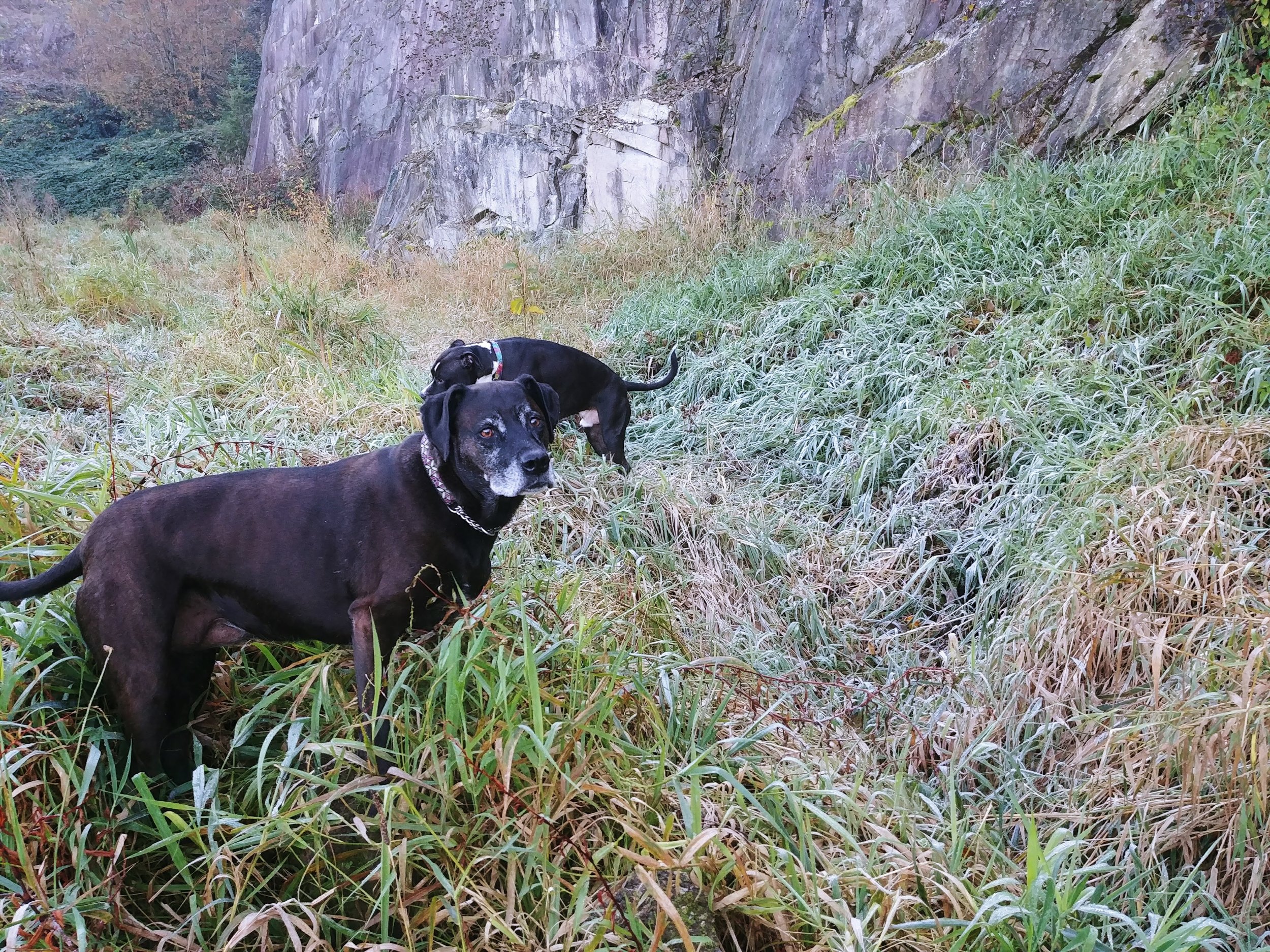 20191102_103637.jpg