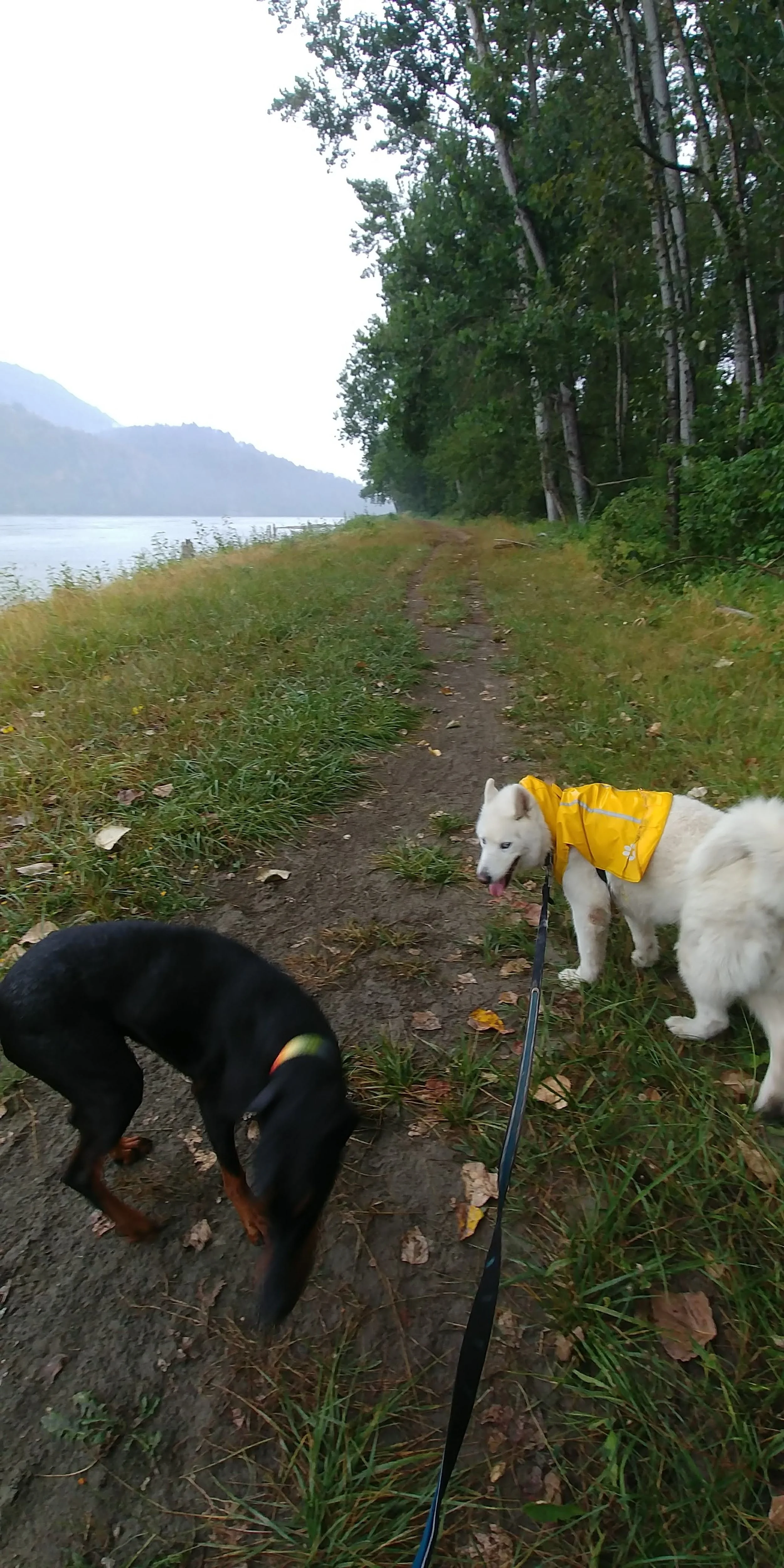 20180829_094650_HDR.jpg