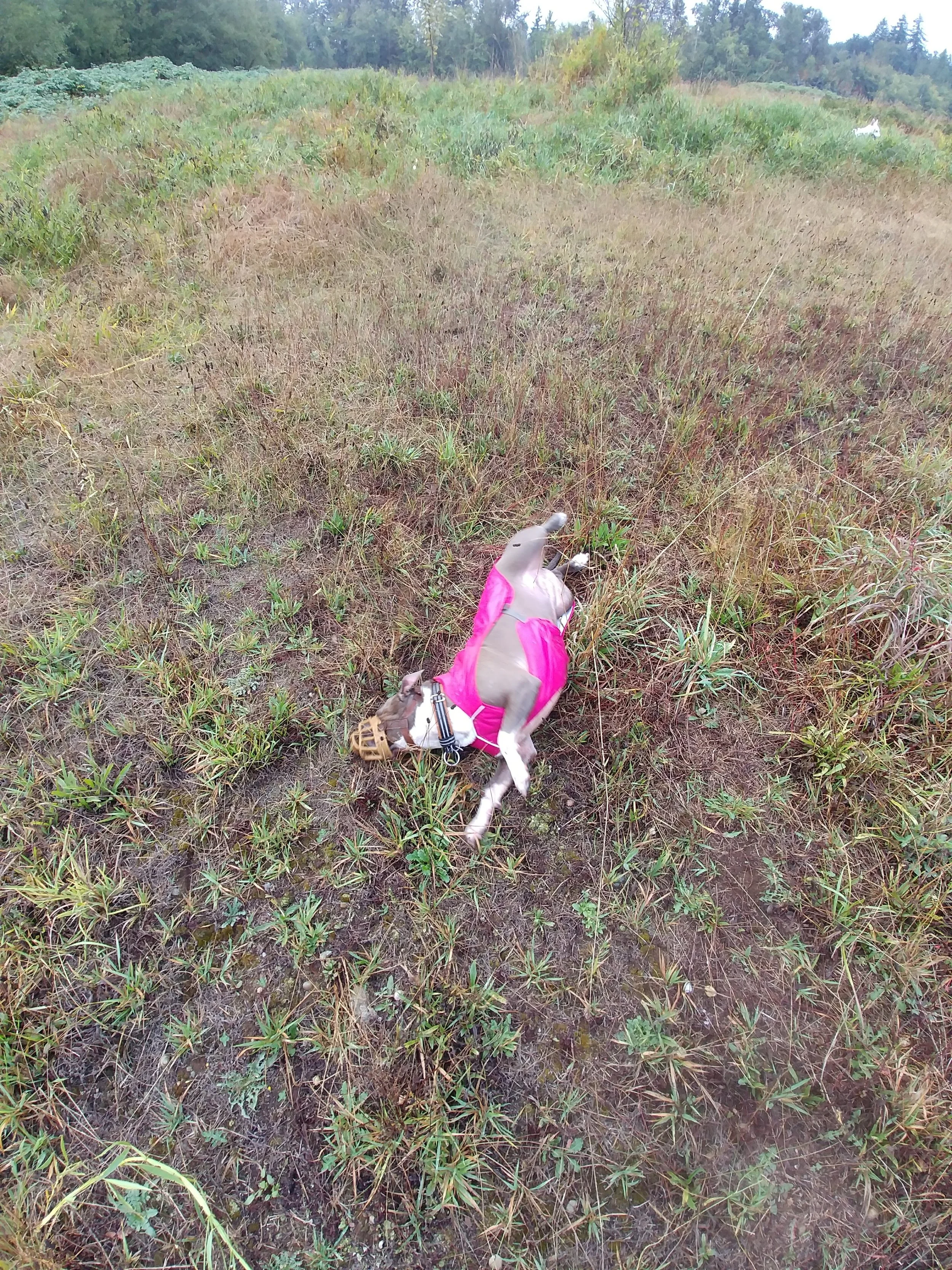 20190909_100038.jpg
