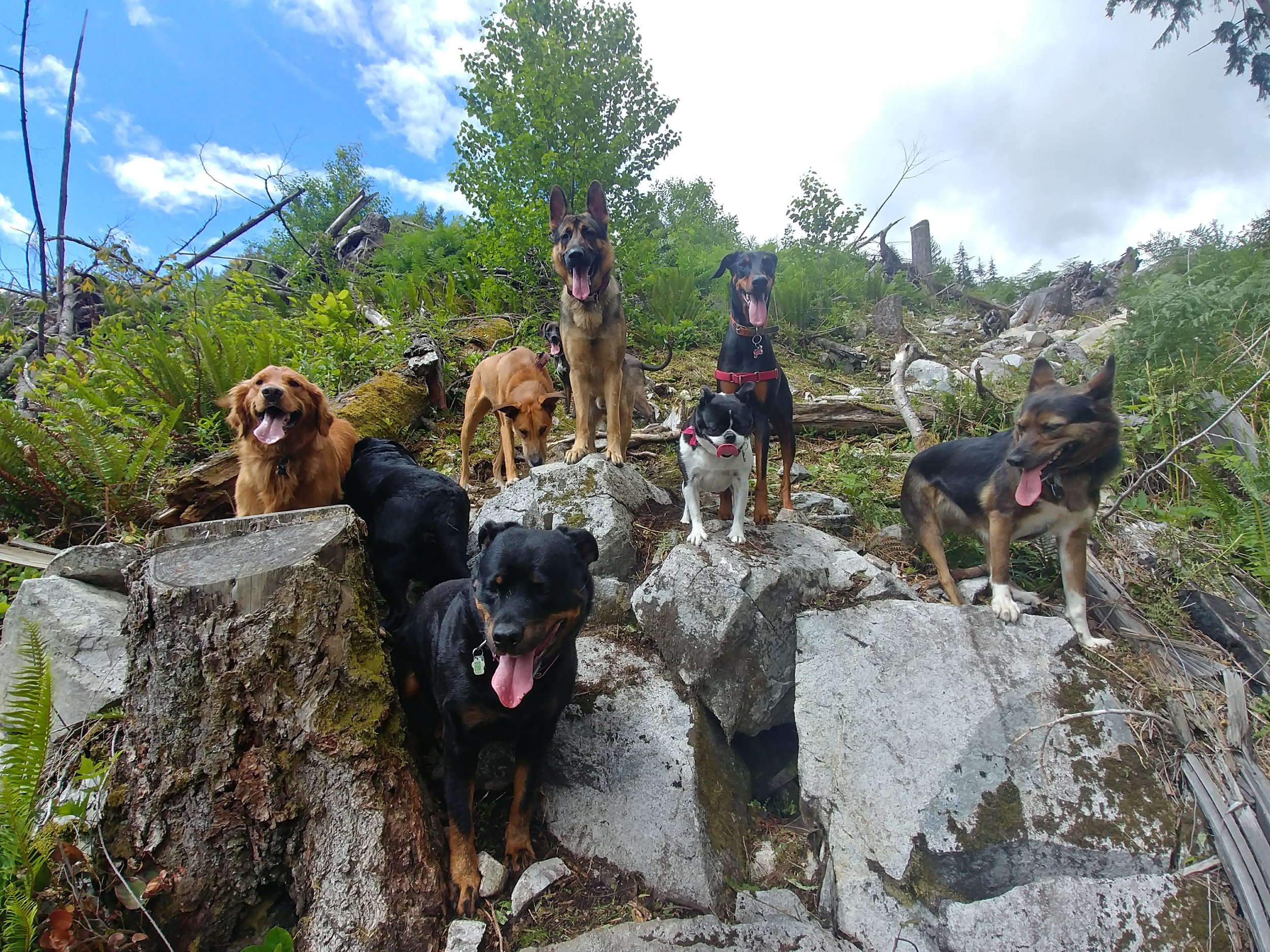 20190607_110624_HDR.jpg