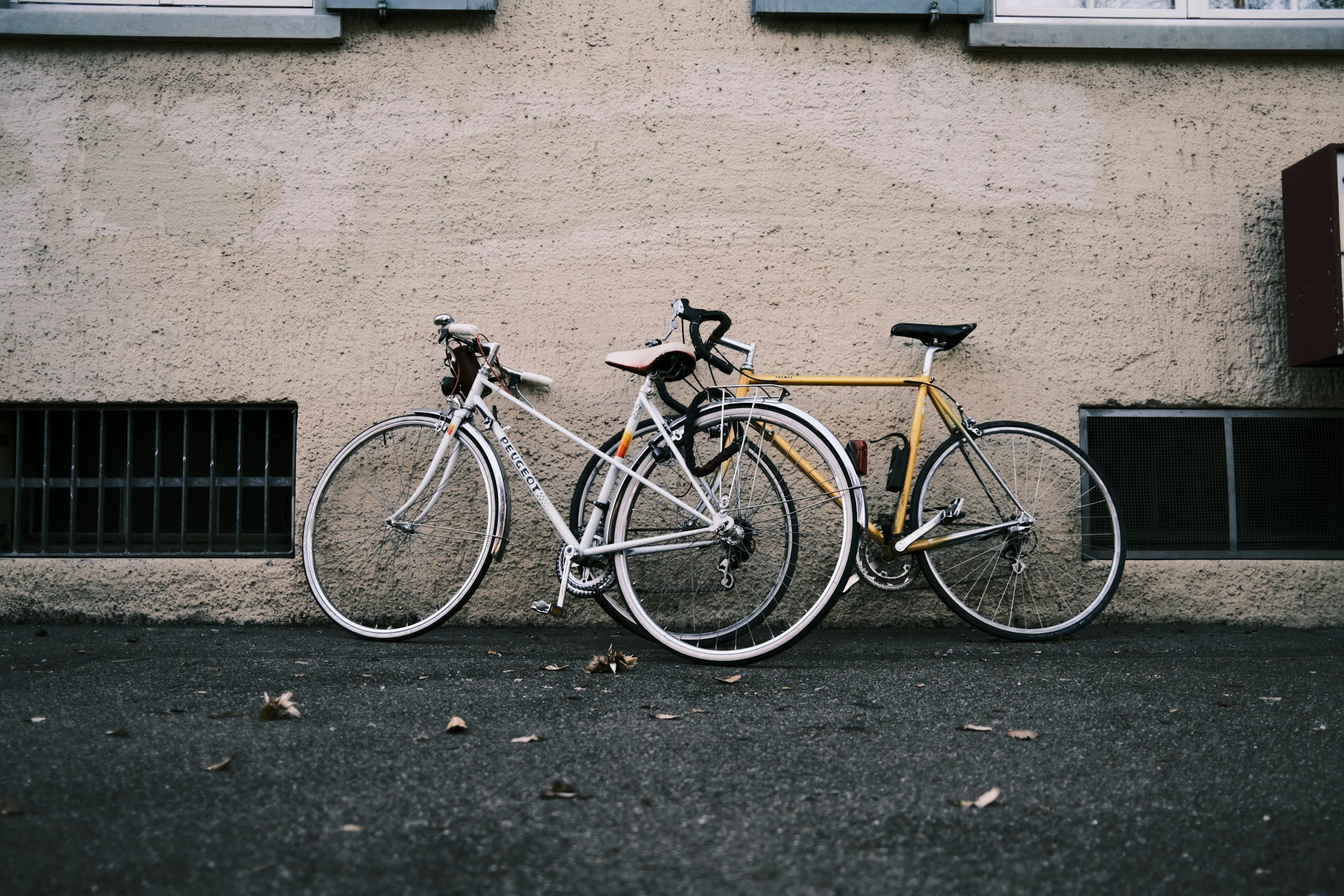 Two bicycles, one white and one yellow, leaning against a beige stucco wall on a dark asphalt street with scattered leaves.