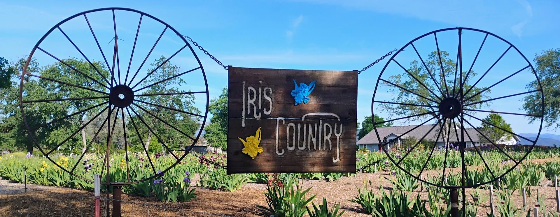 Iris Country Sign.jpg