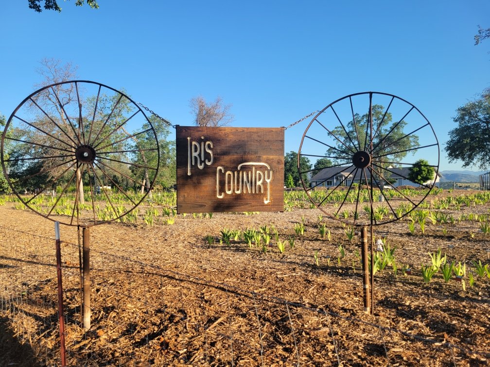 A Iris Country Sign.jpg