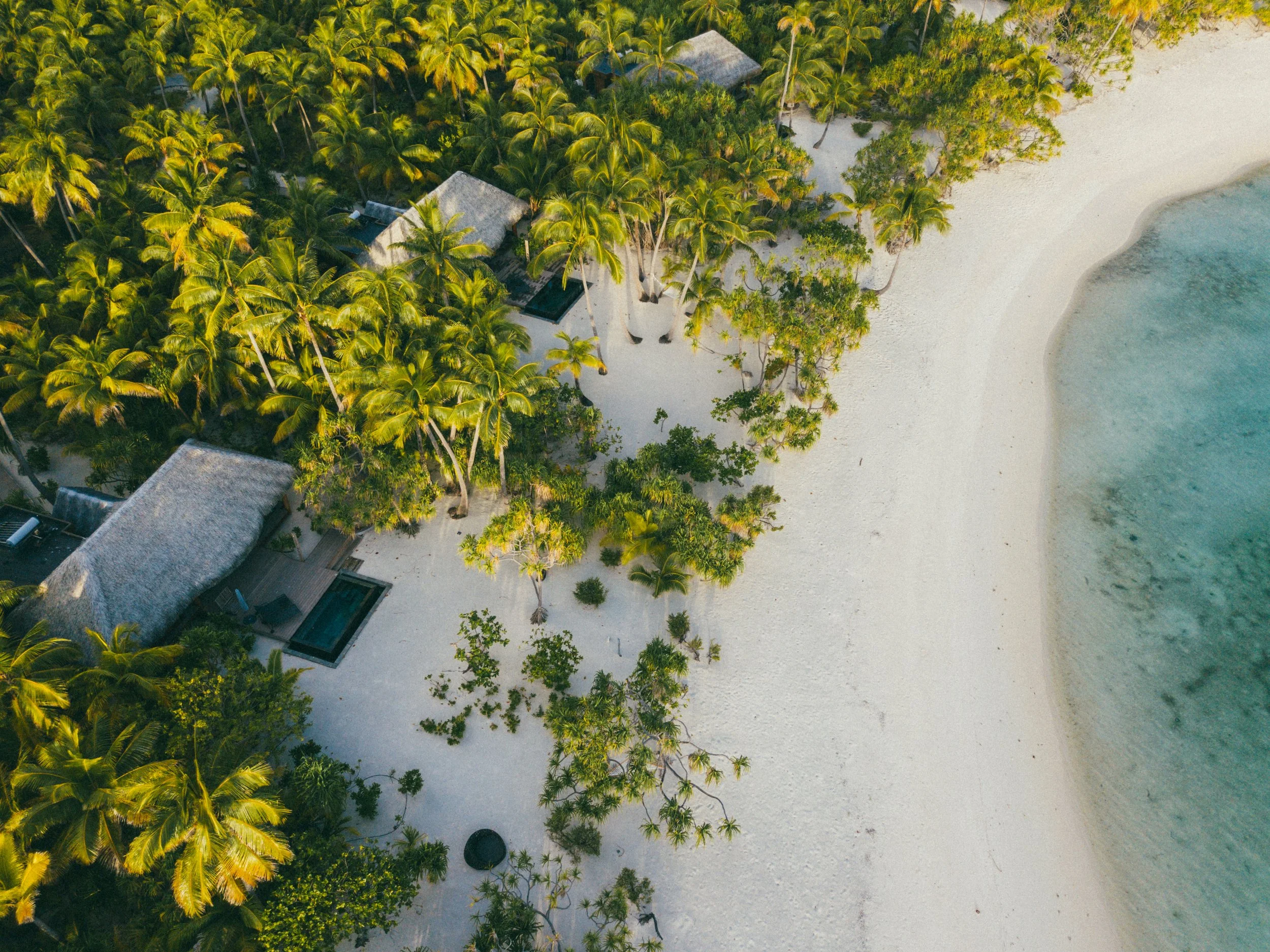 BOBY-DJI_0010.jpg