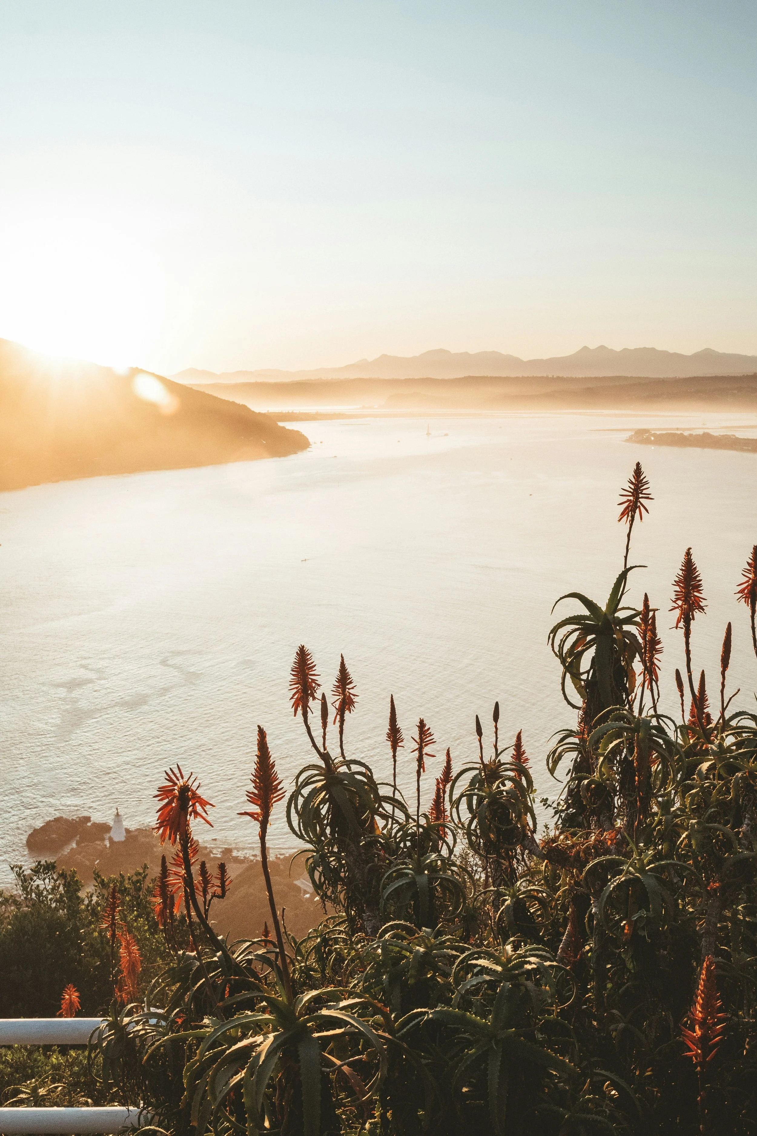 When Everything Feels Like Noise: How to Find Your Way Back to God's Voice