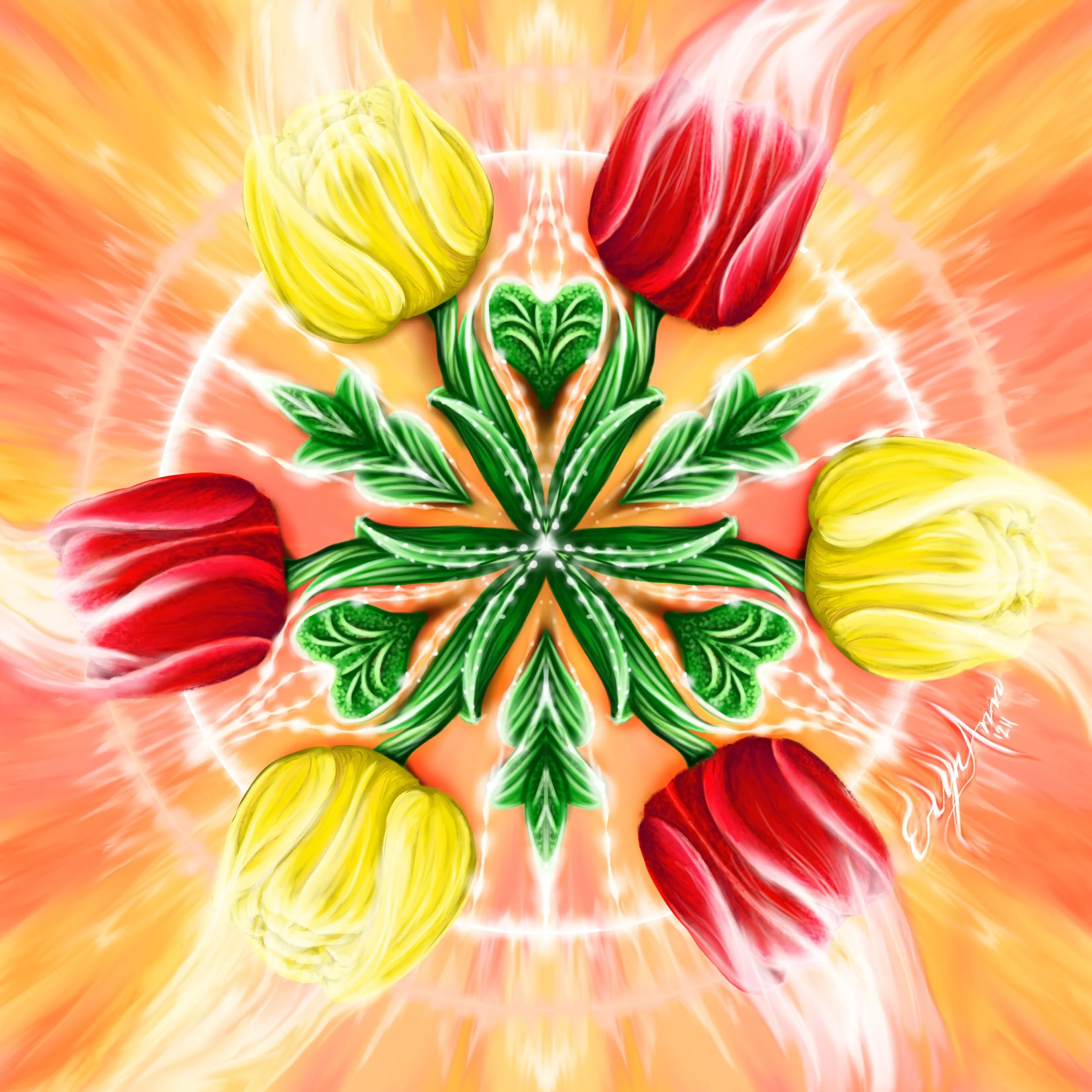 Tulips.jpg
