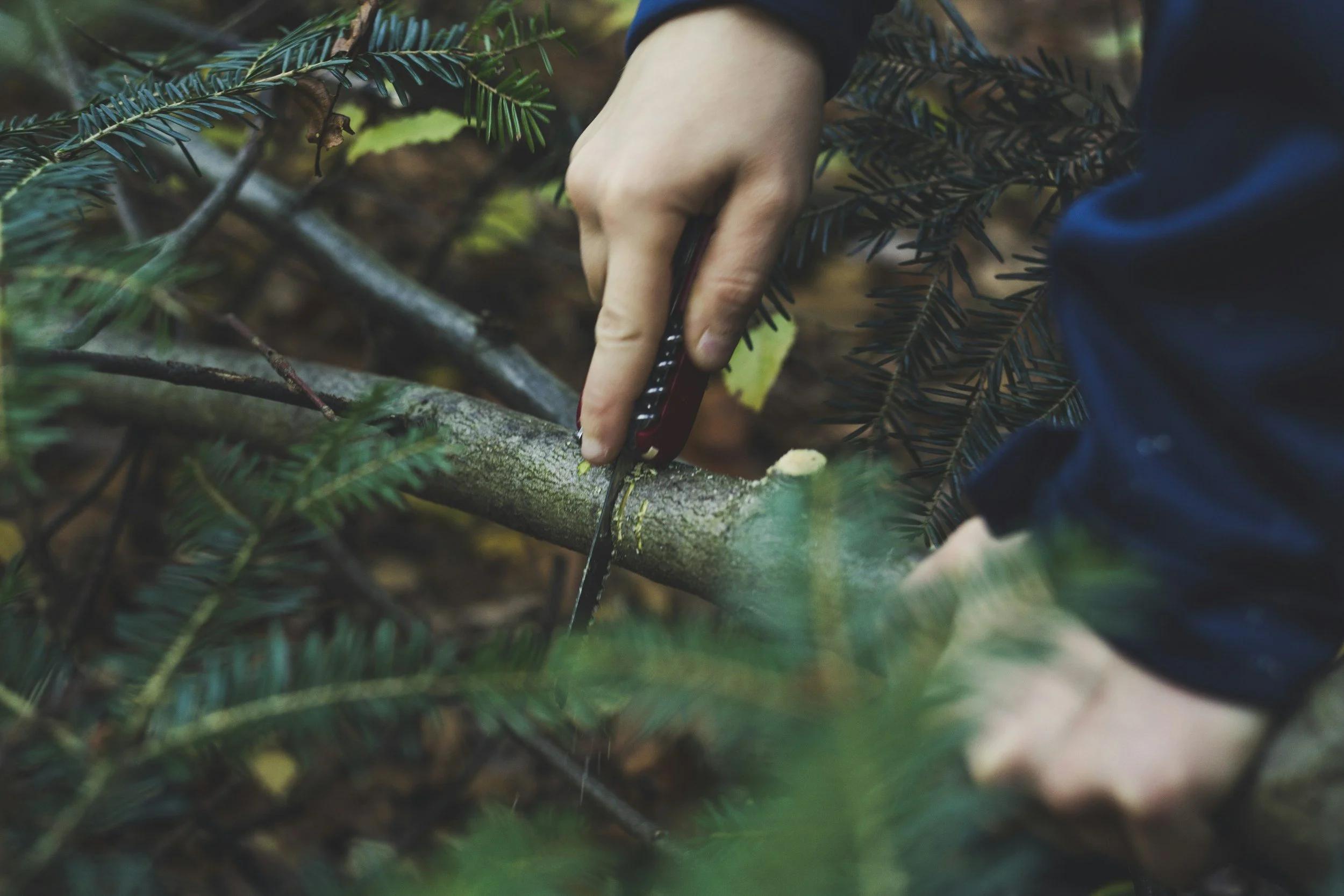 SURVIVAL E BUSHCRAFT