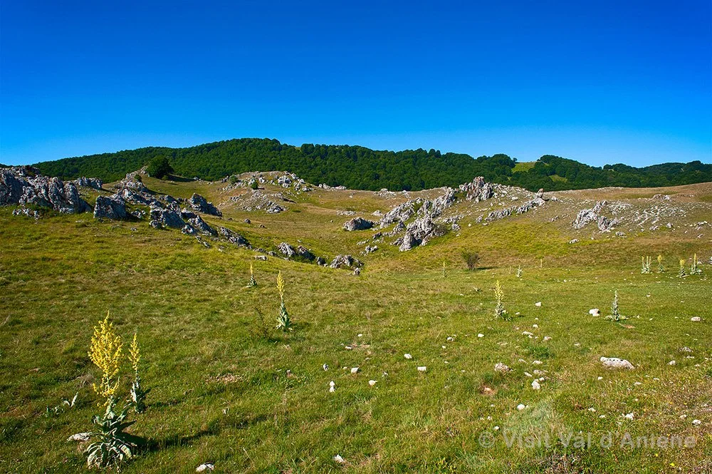 Trek all’altopiano di Camposecco da Campaegli