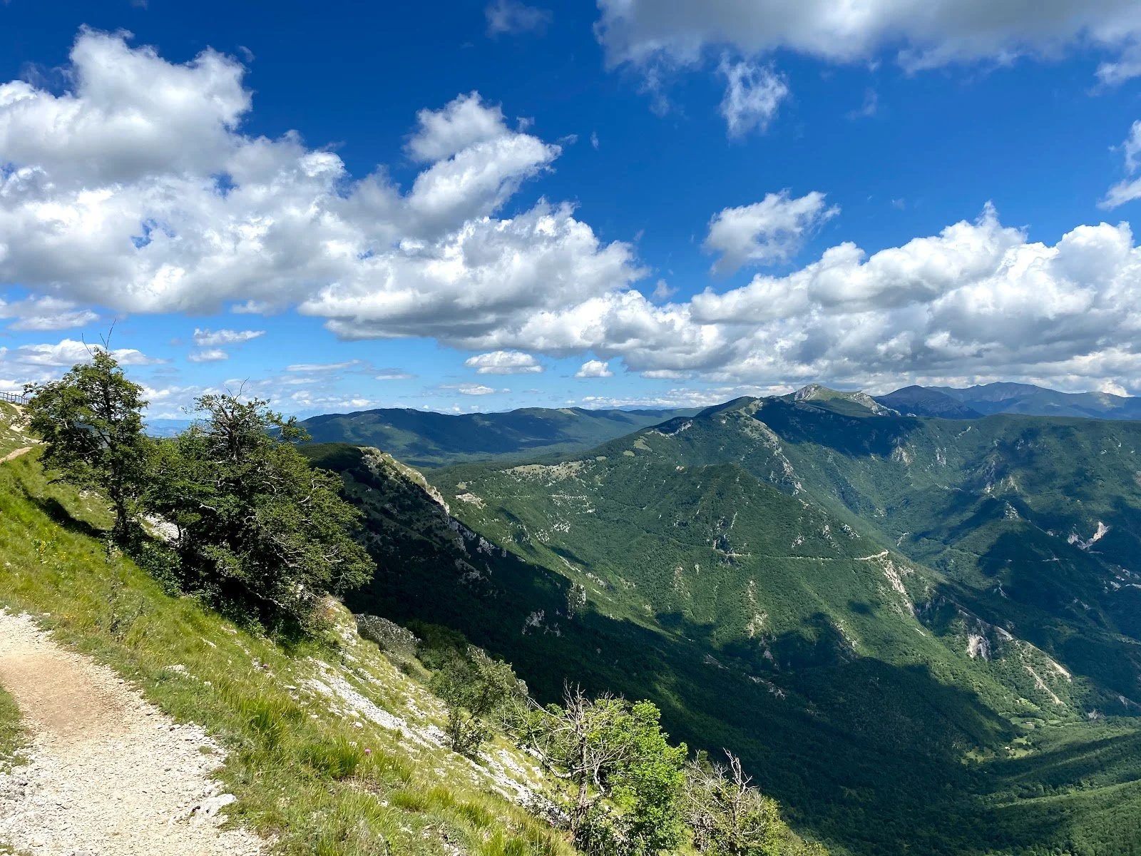 Family-Trek a Livata