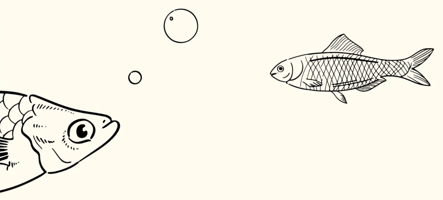 Private Dining Kokoro Handroll Bar private-dining-kokoro-handroll-bar