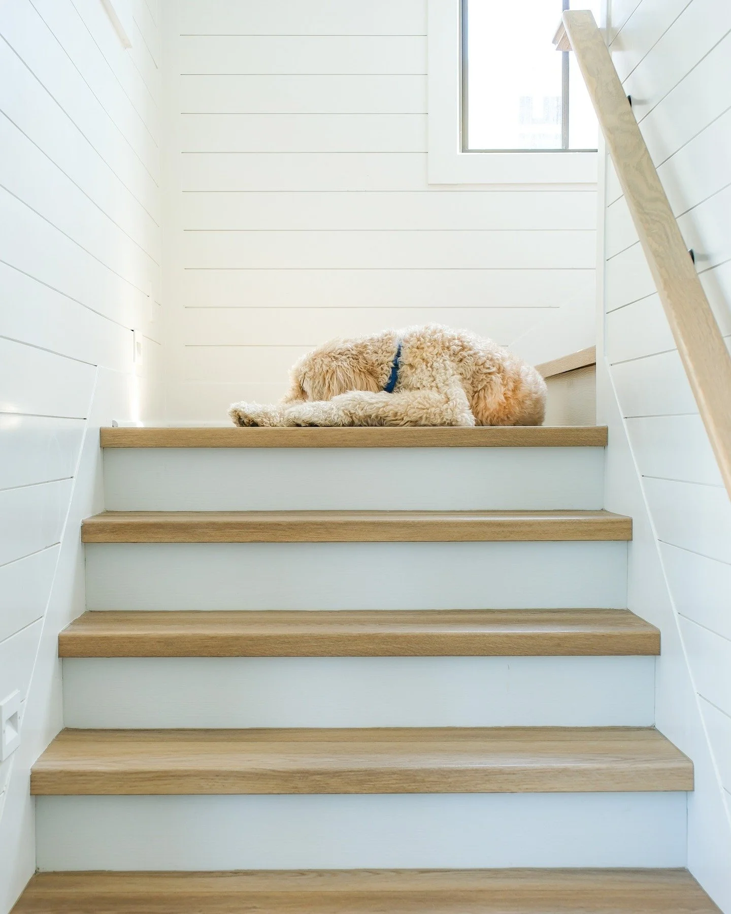 Even hallways, stairs wells and alcoves should bring light and joy into your home. 

#portaransas #residentialarchitecture #texasarchitect #dogapproved #beachhouse
