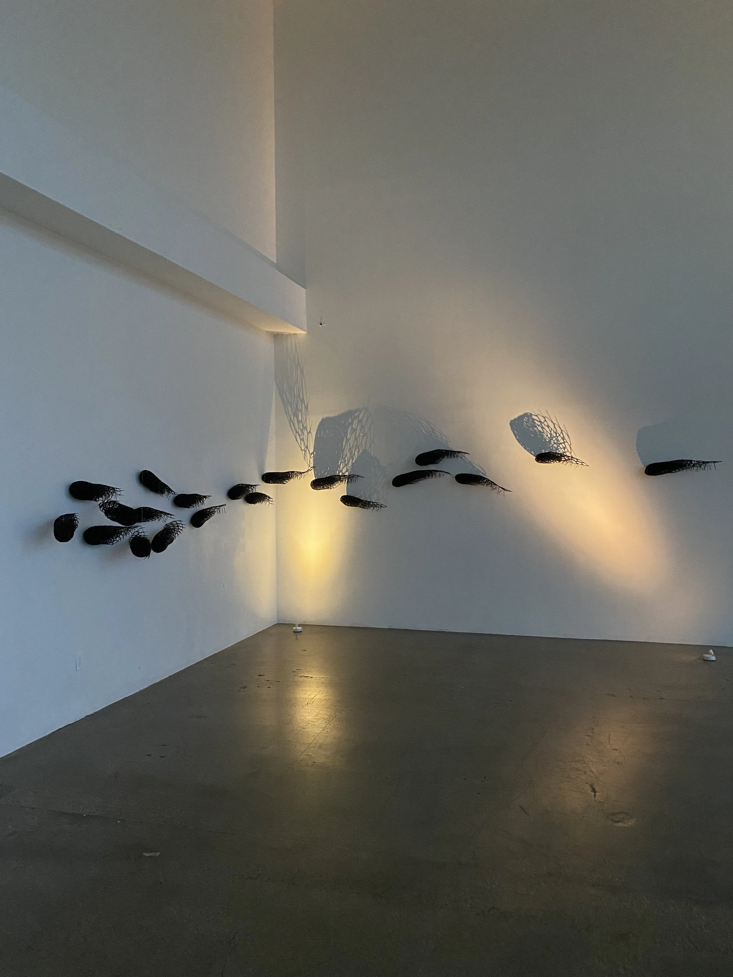 02 Voice of The Oceans.jpeg