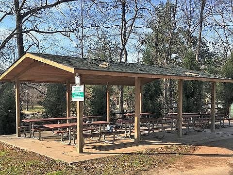 Spring Social Picnic