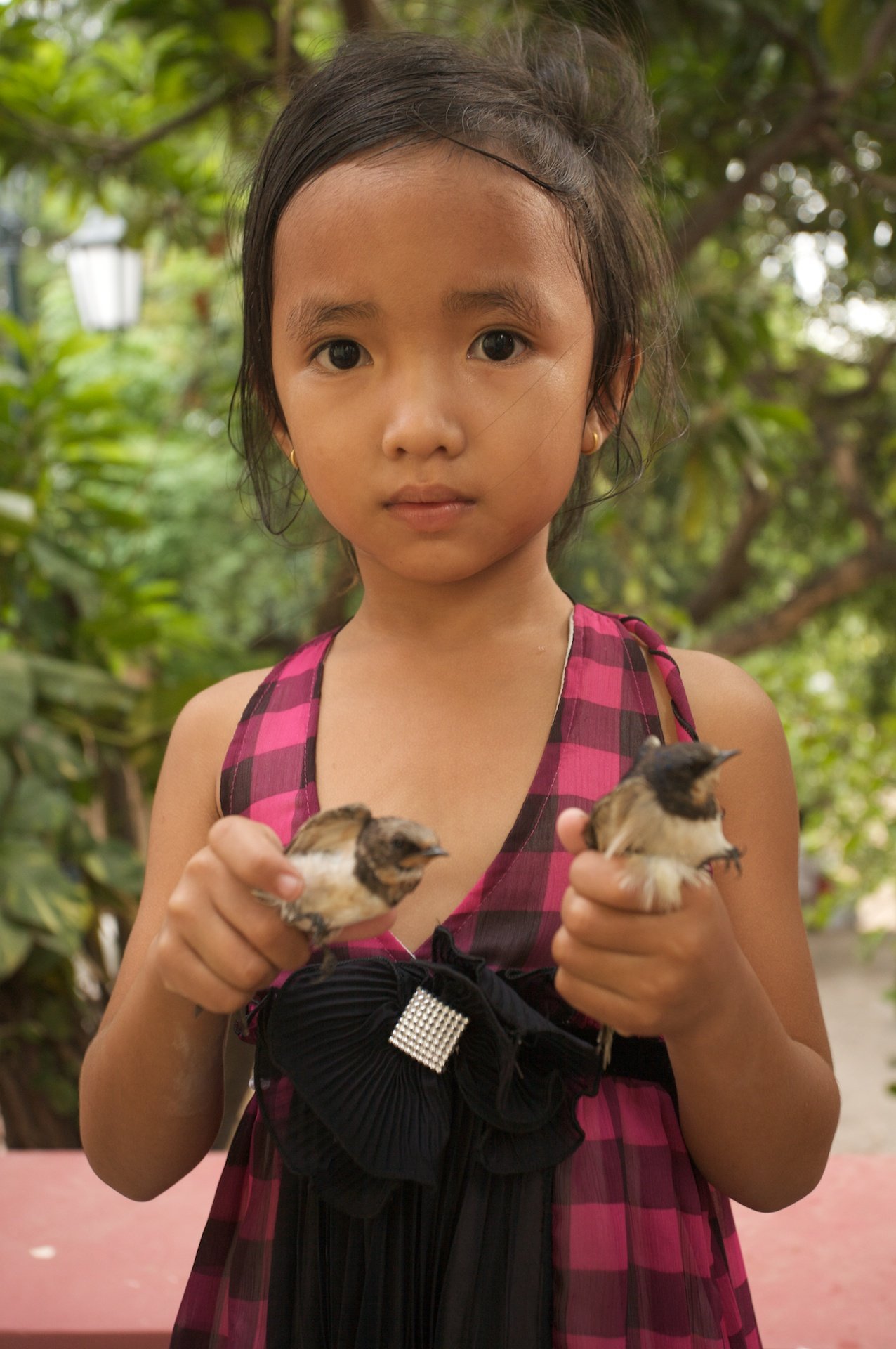 Small girl with bird offerings, Wat Phnom Daun Penh, Cambodia