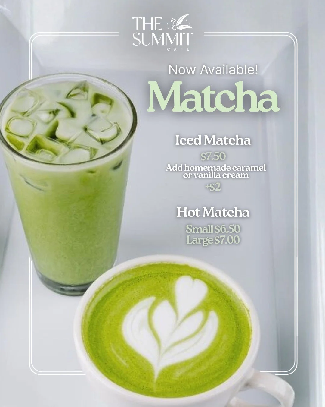 Refresh your day with Matcha at The Summit Caf&eacute;!

Choose from Iced or Hot, with optional caramel or vanilla cream to add to any Iced Matcha!

Sip your new favourite while soaking in the iconic Mt Coot-Tha views. Available every day.