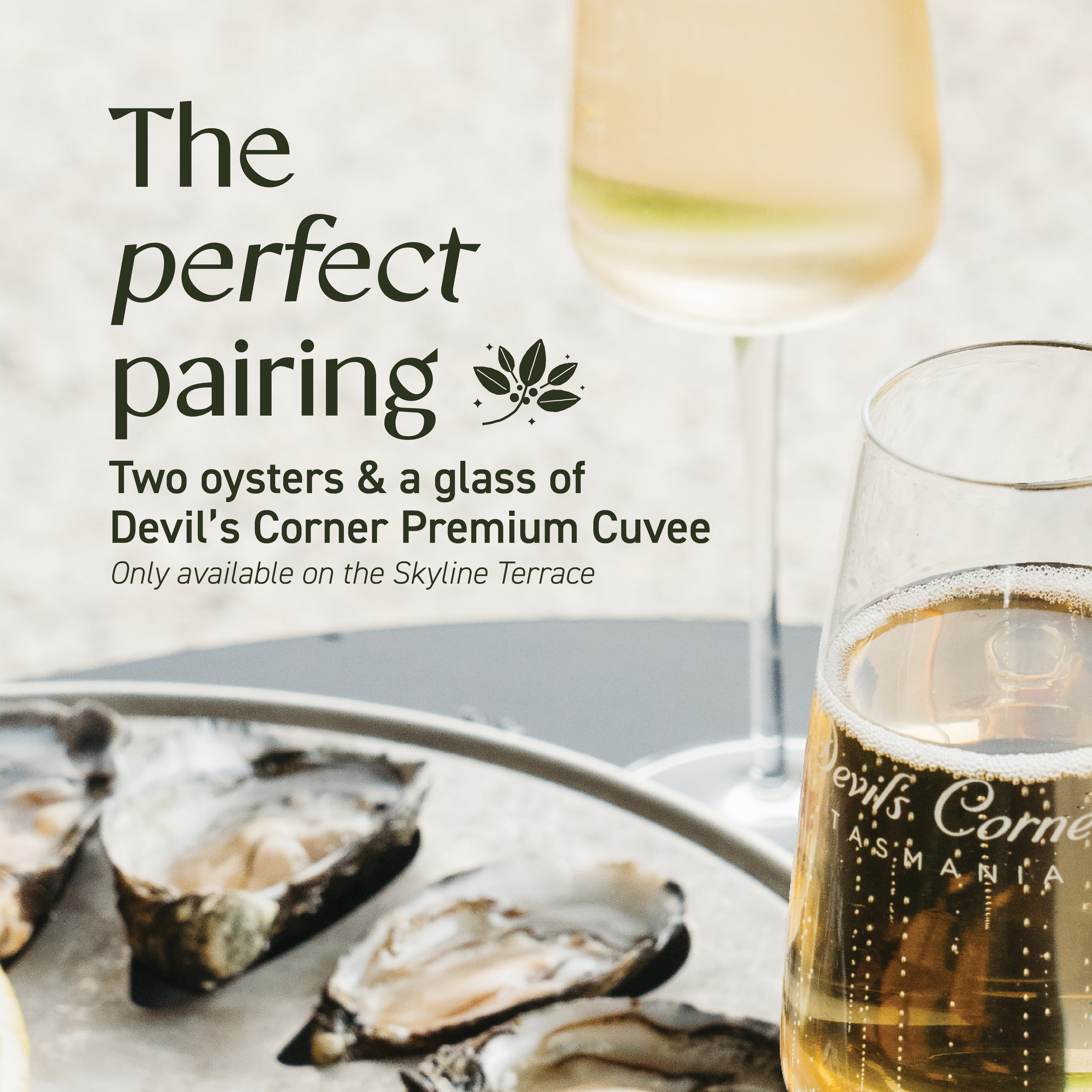 SUMR_0726_Devils Corner Oysters SQ (1).png