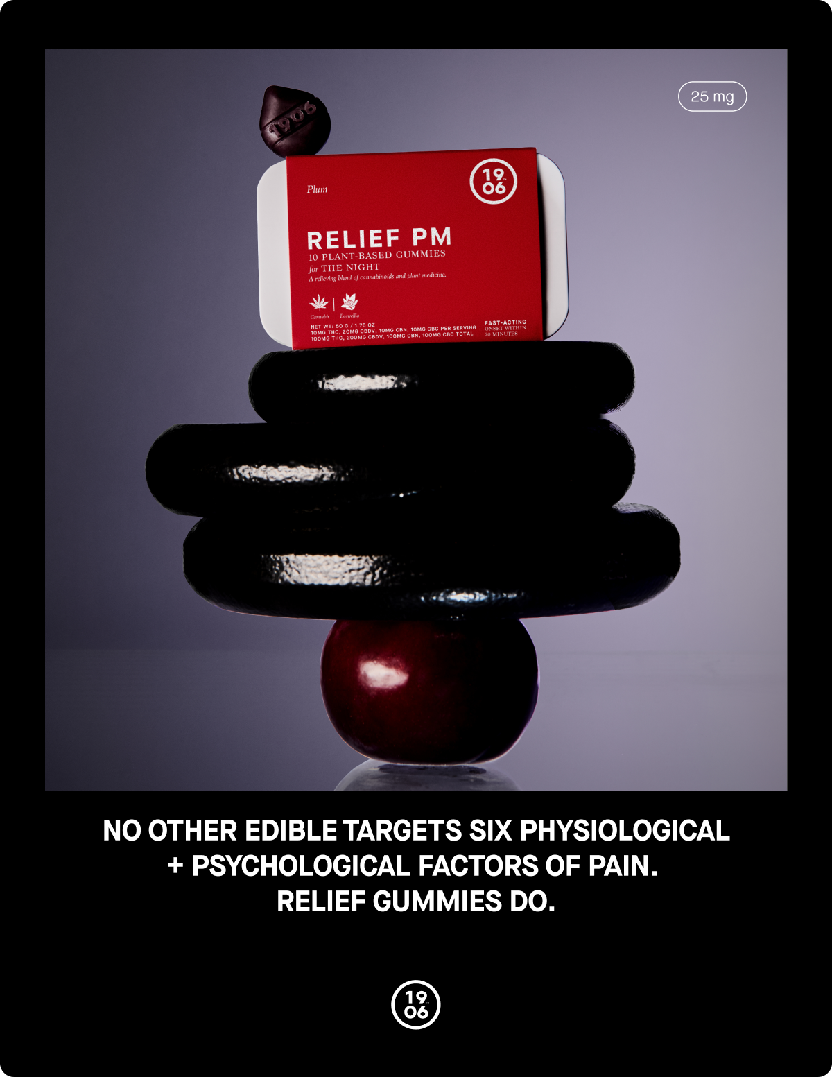 GEN-DTC-NY Relief Dispensary-2024-11-11-Poster 3-Relief PM-8.5x11-Final.png