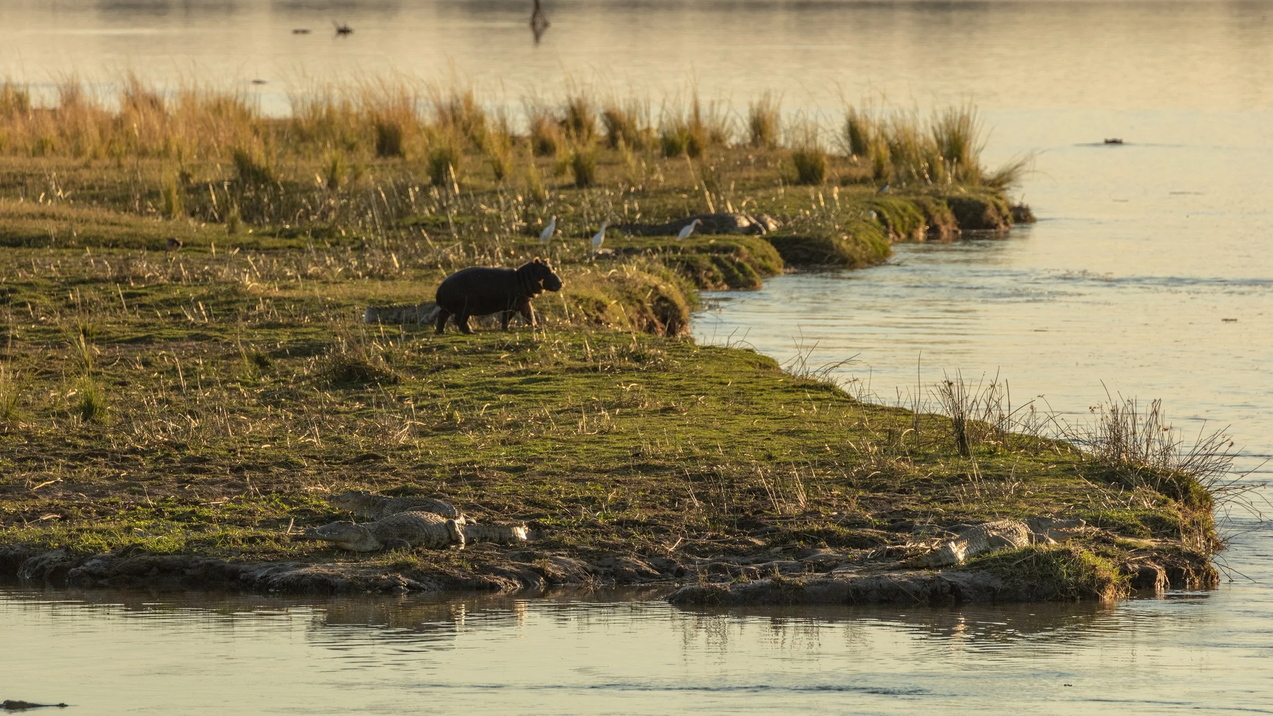 Weichen Lou | Harmony, 2019 | Do You Want To Be Disturbed Too?