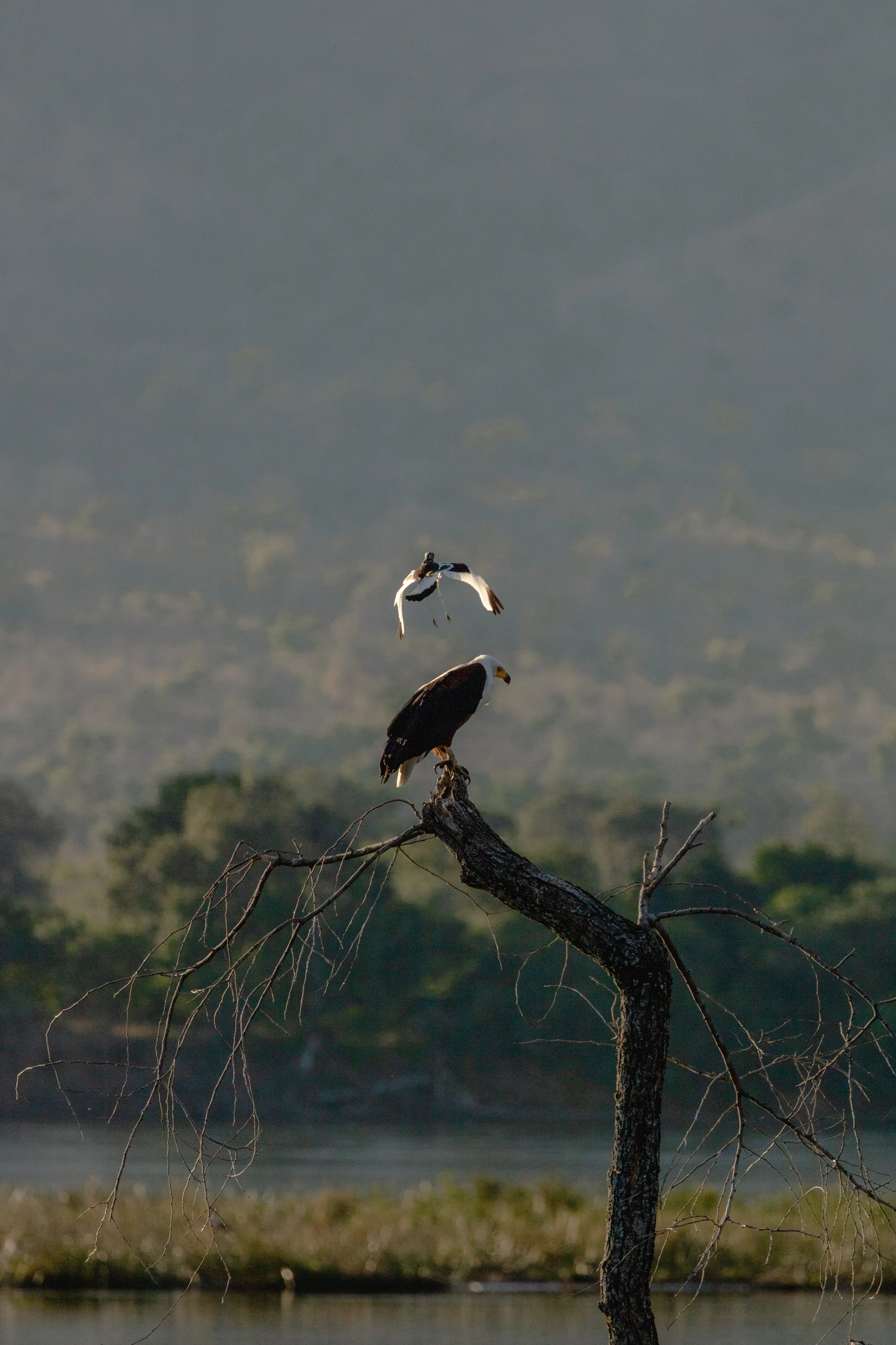 Weichen Lou | Larking, 2019 | Do You Want To Be Disturbed Too?