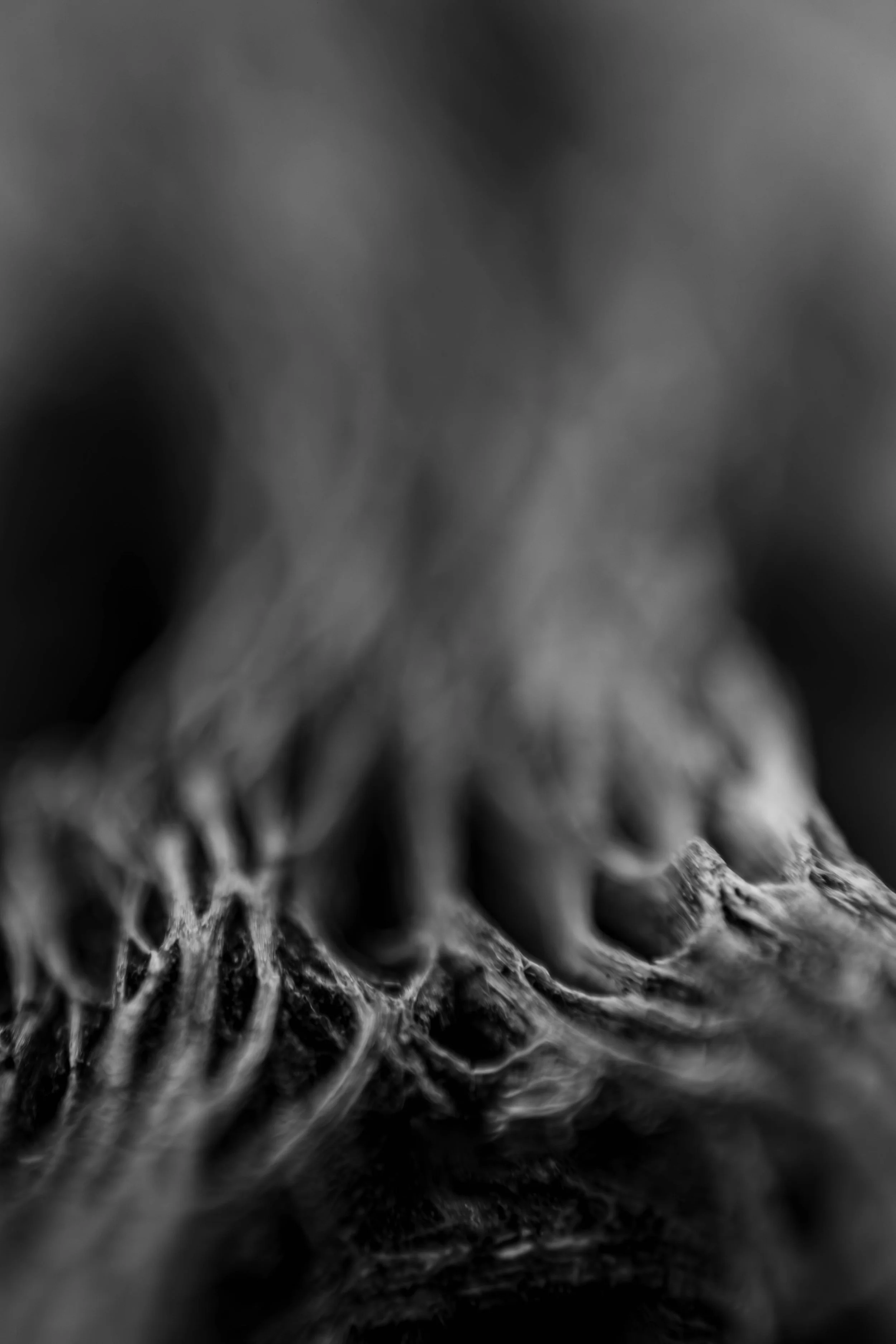 Weichen Lou | Study #3, 2022 | Sublimity in Focus