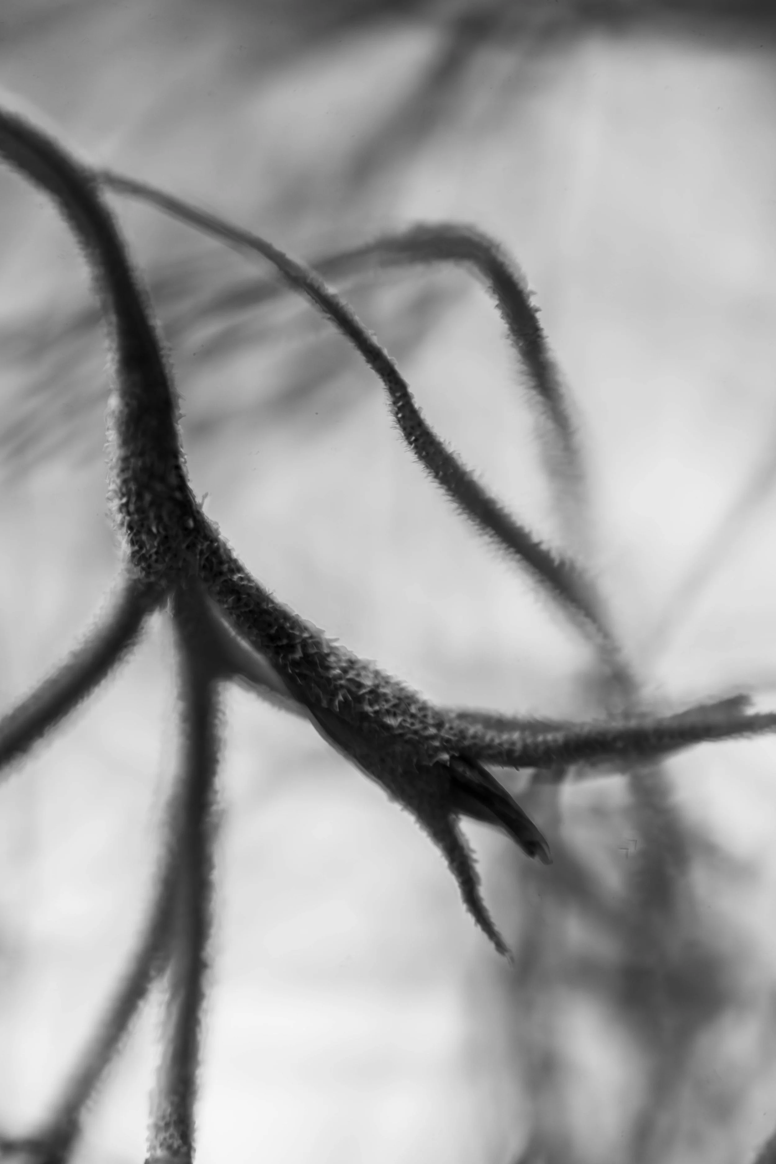 Weichen Lou | Dancing #1, 2022 | Sublimity in Focus