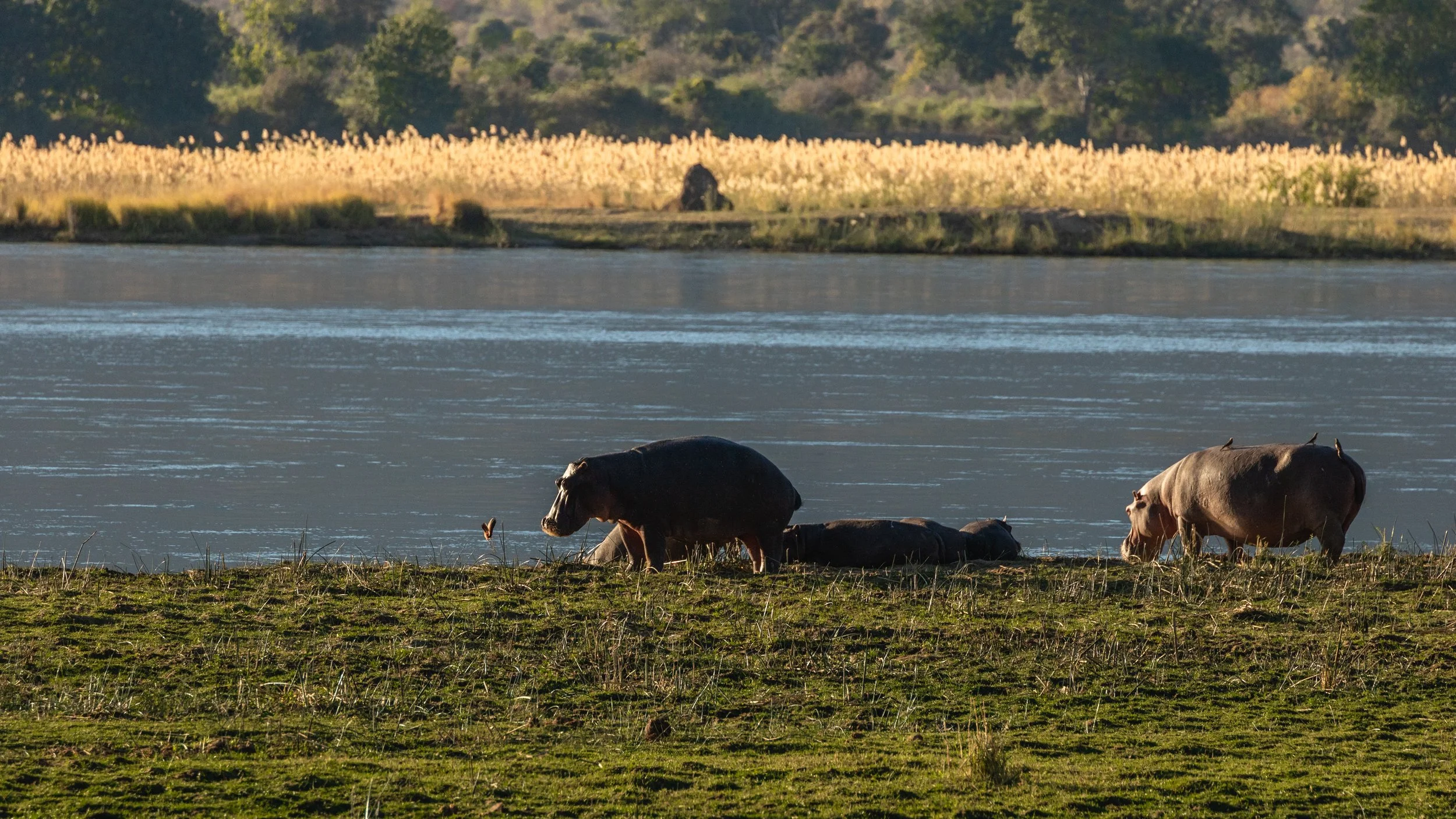 Weichen Lou | Sunbathing, 2019 | Do You Want To Be Disturbed Too?