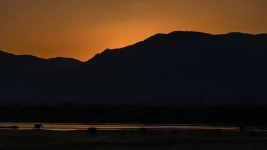 Weichen Lou | Giants, 2019 | Do You Want To Be Disturbed Too?