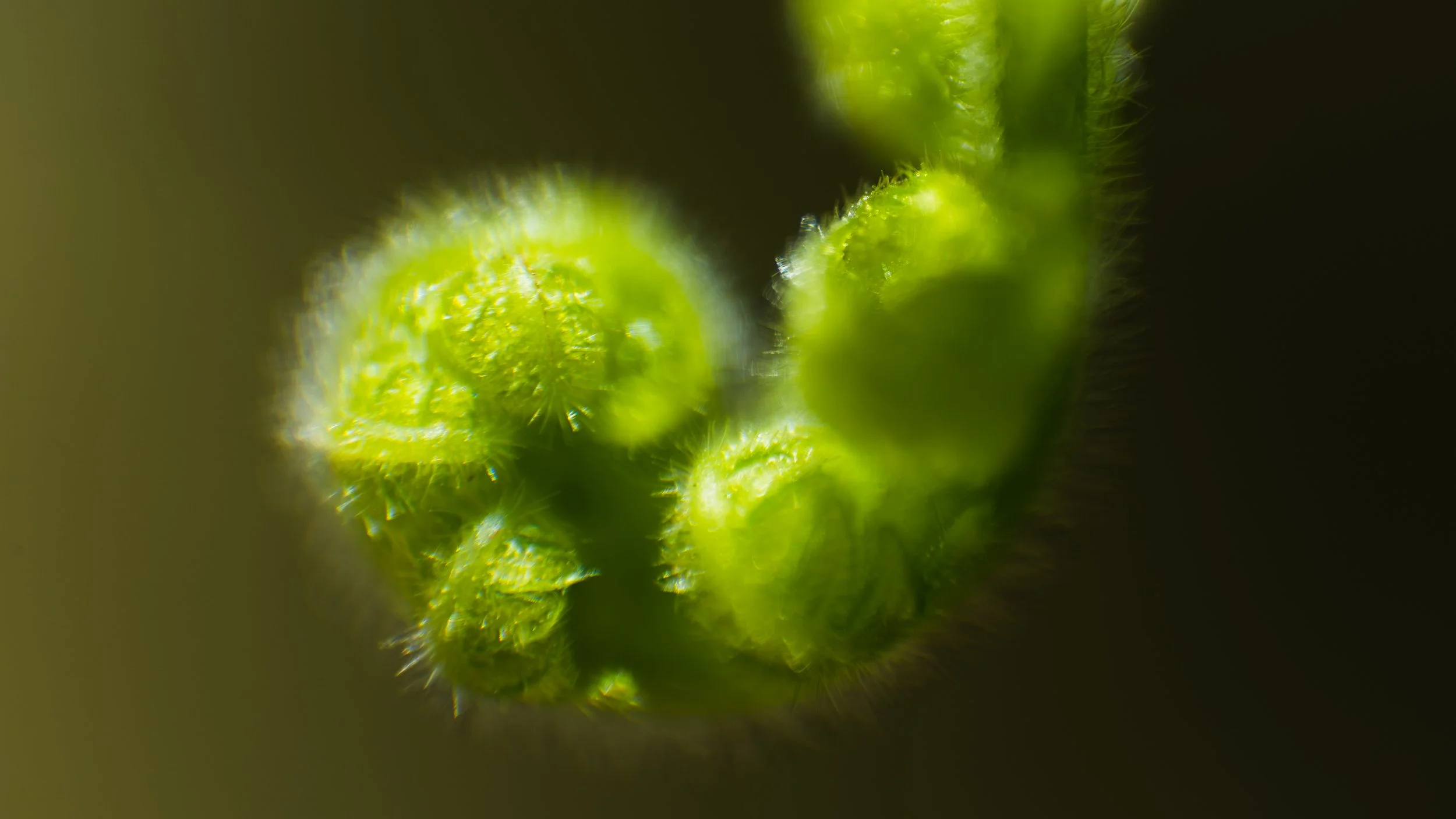 Weichen Lou | To Feel, 2022 | Sublimity in Focus