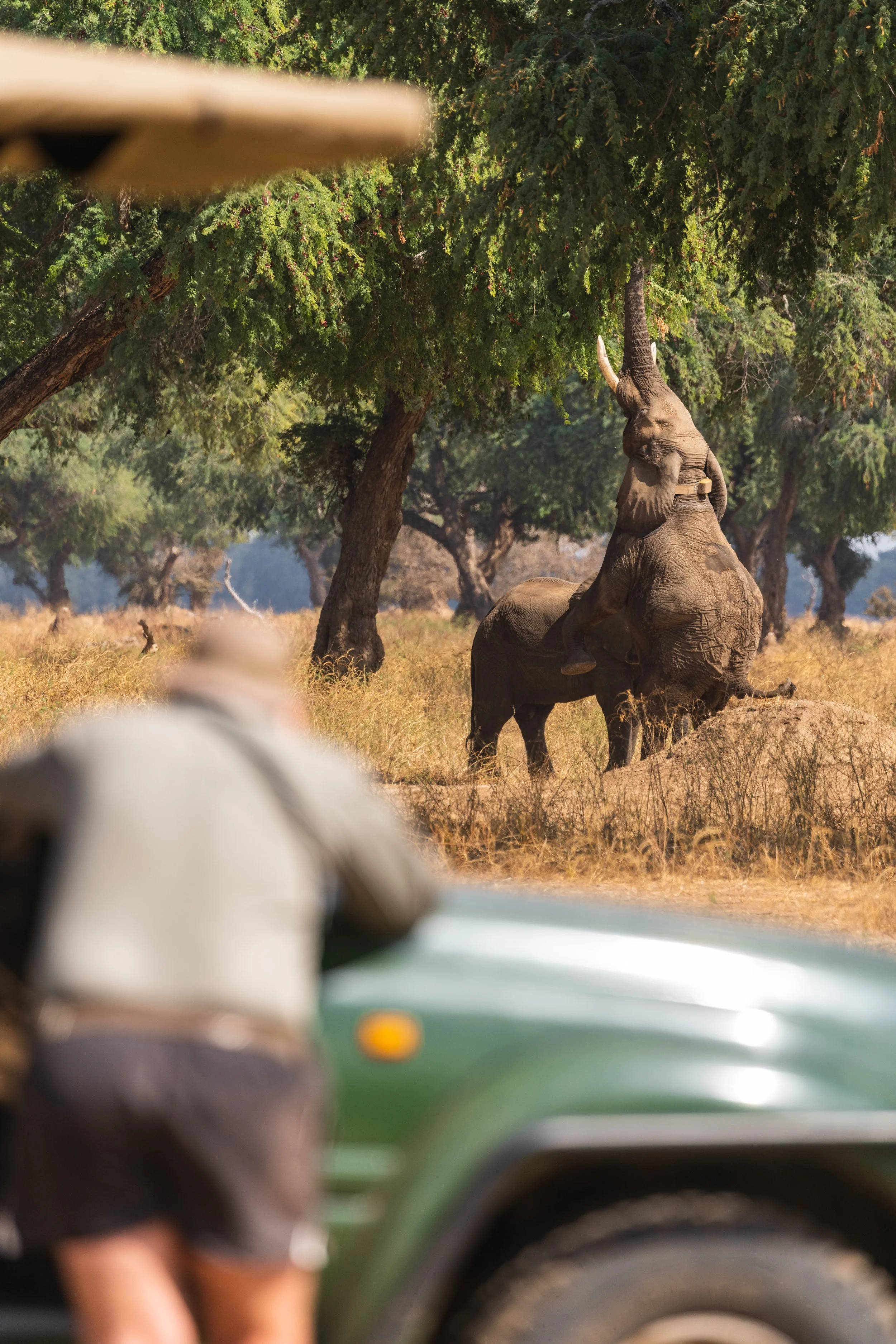 Weichen Lou | Closer #1, 2021 | Do You Want To Be Disturbed Too?