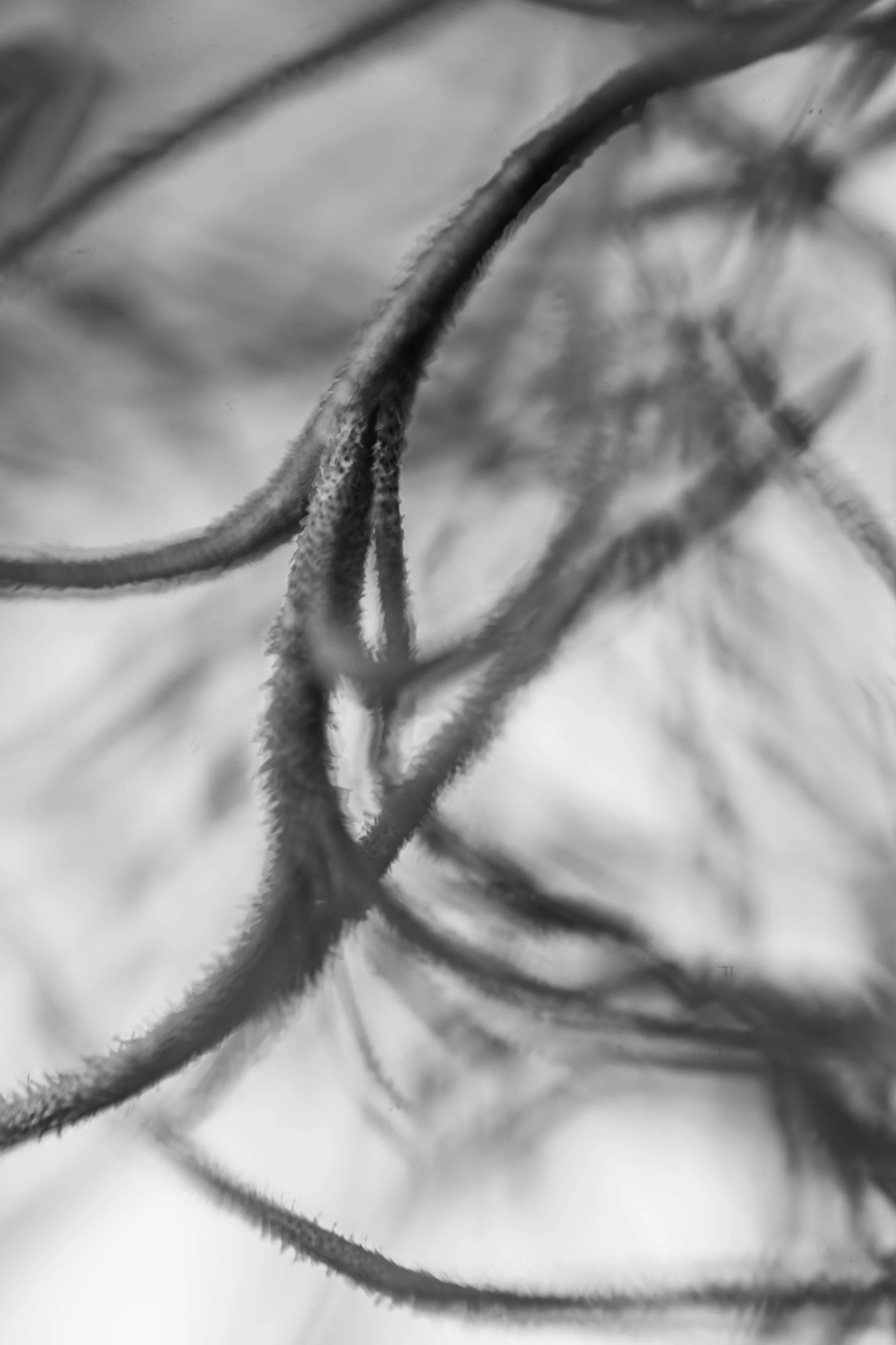 Weichen Lou | Dancing #2, 2022 | Sublimity in Focus